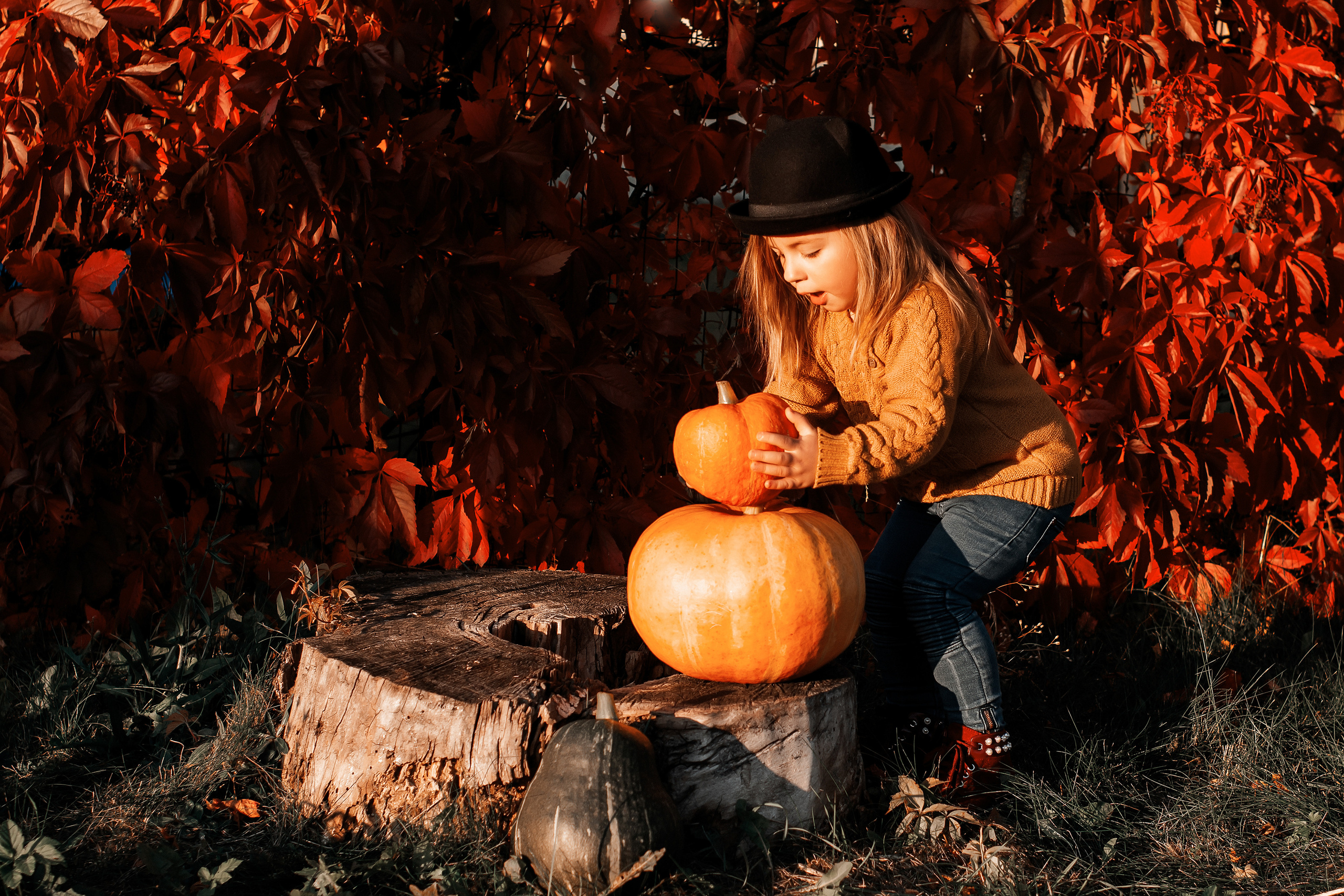 София. Осень. Ваш фотограф в Латгалии — Александра Юхневича!