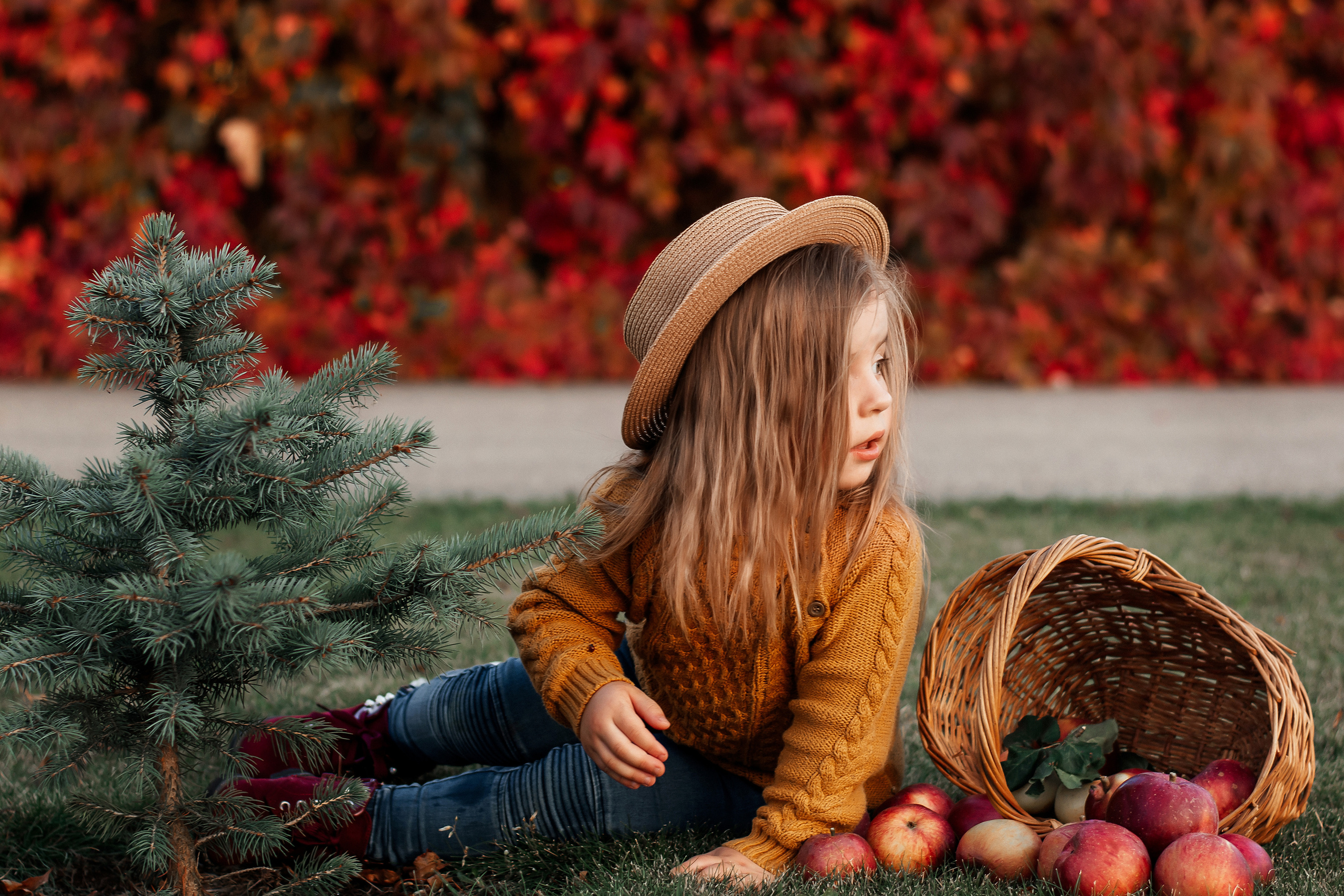 София. Осень. Ваш фотограф в Латгалии — Александра Юхневича!