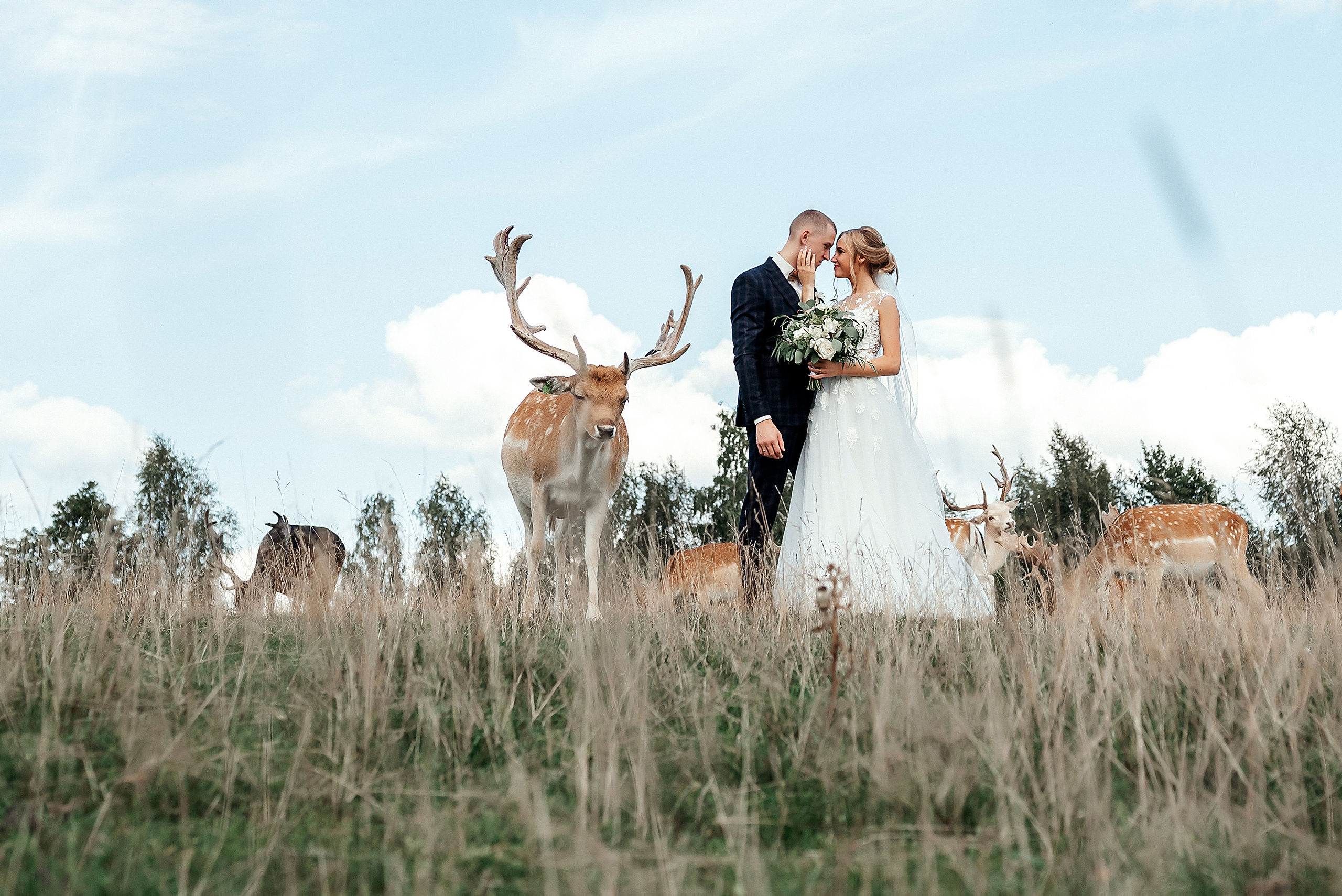 Baiba Anna un Alvils. Ваш фотограф в Латгалии — Александра Юхневича!