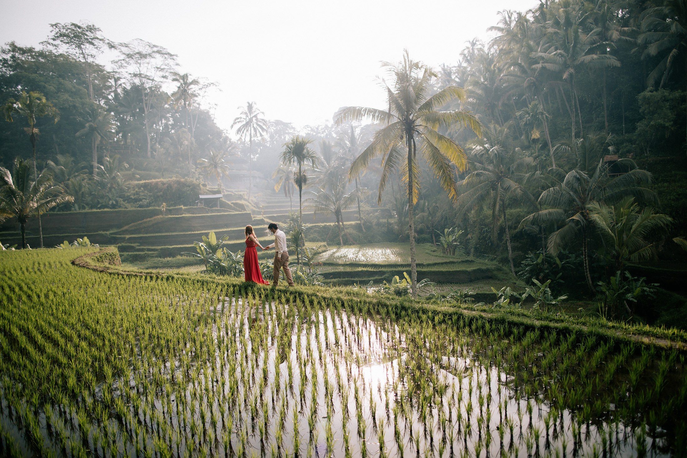 Rice terraces + secret temple. Getitfeel — Aesthetic Photography and Videography
