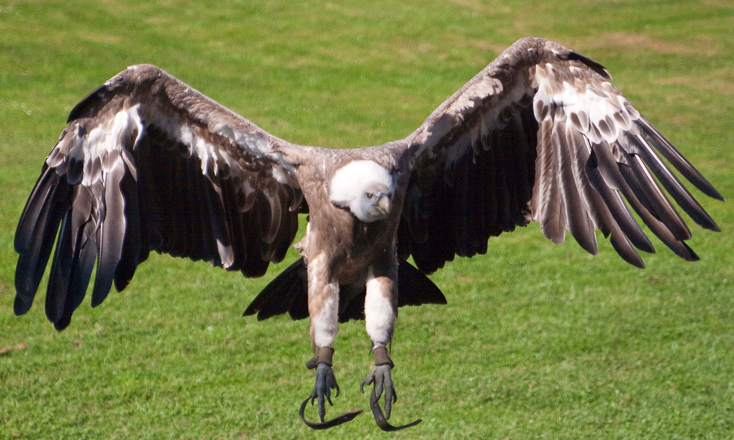 Wildpark Tambach. FOTO KREATIV