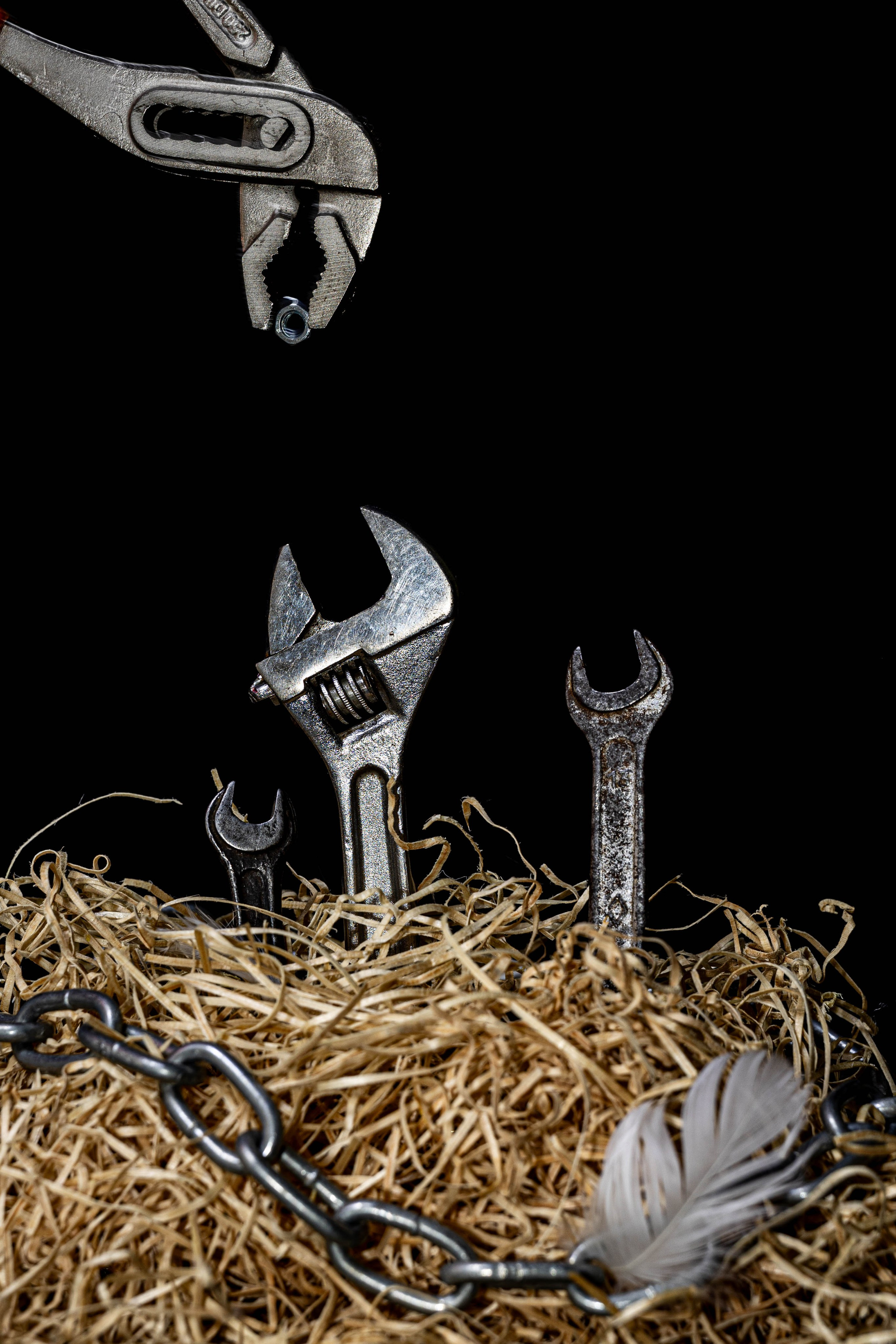 Scoala de Fotografie