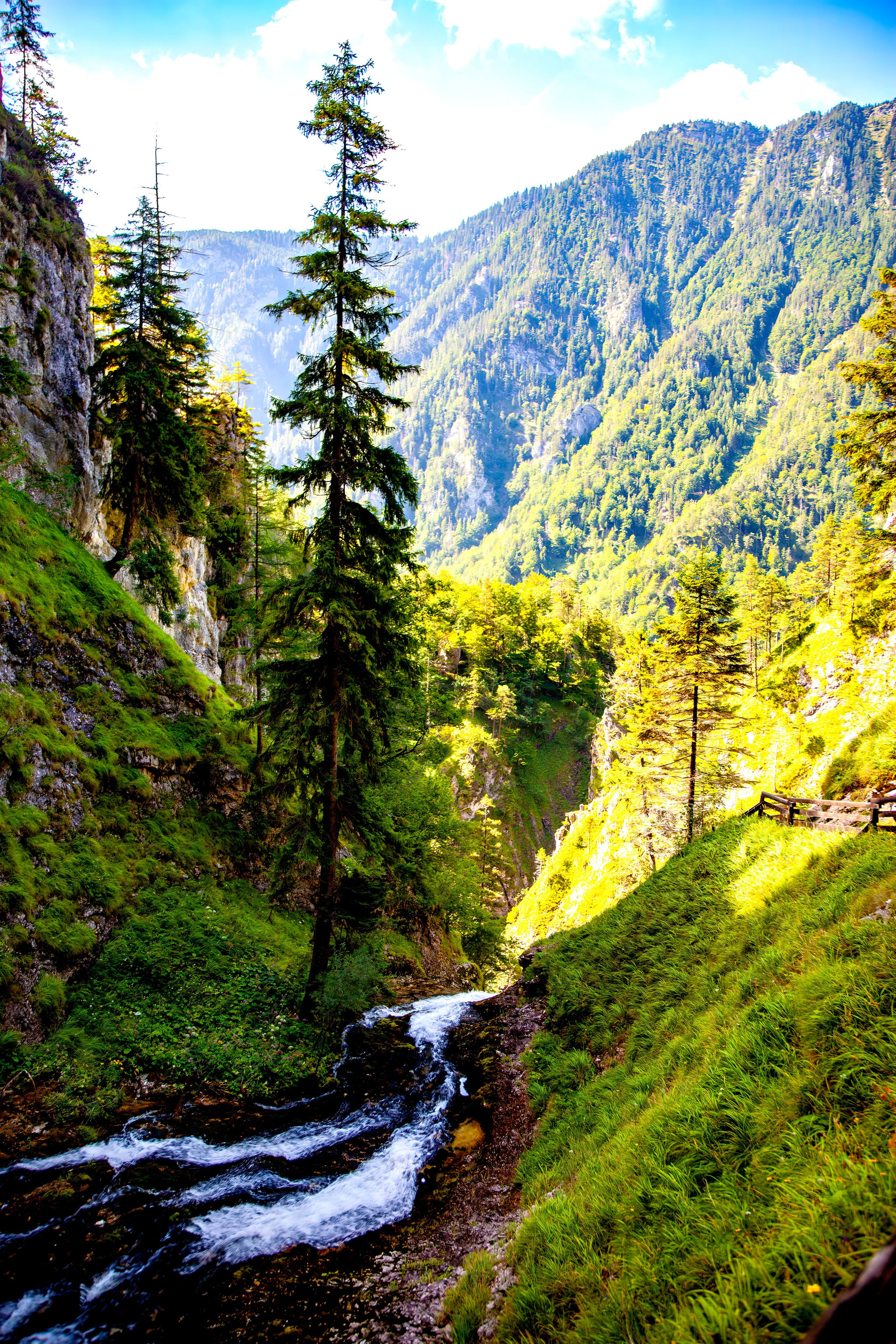 193.Wasserloch Klamm.Palfau.18.8.2025. Путешествия в формате 360......