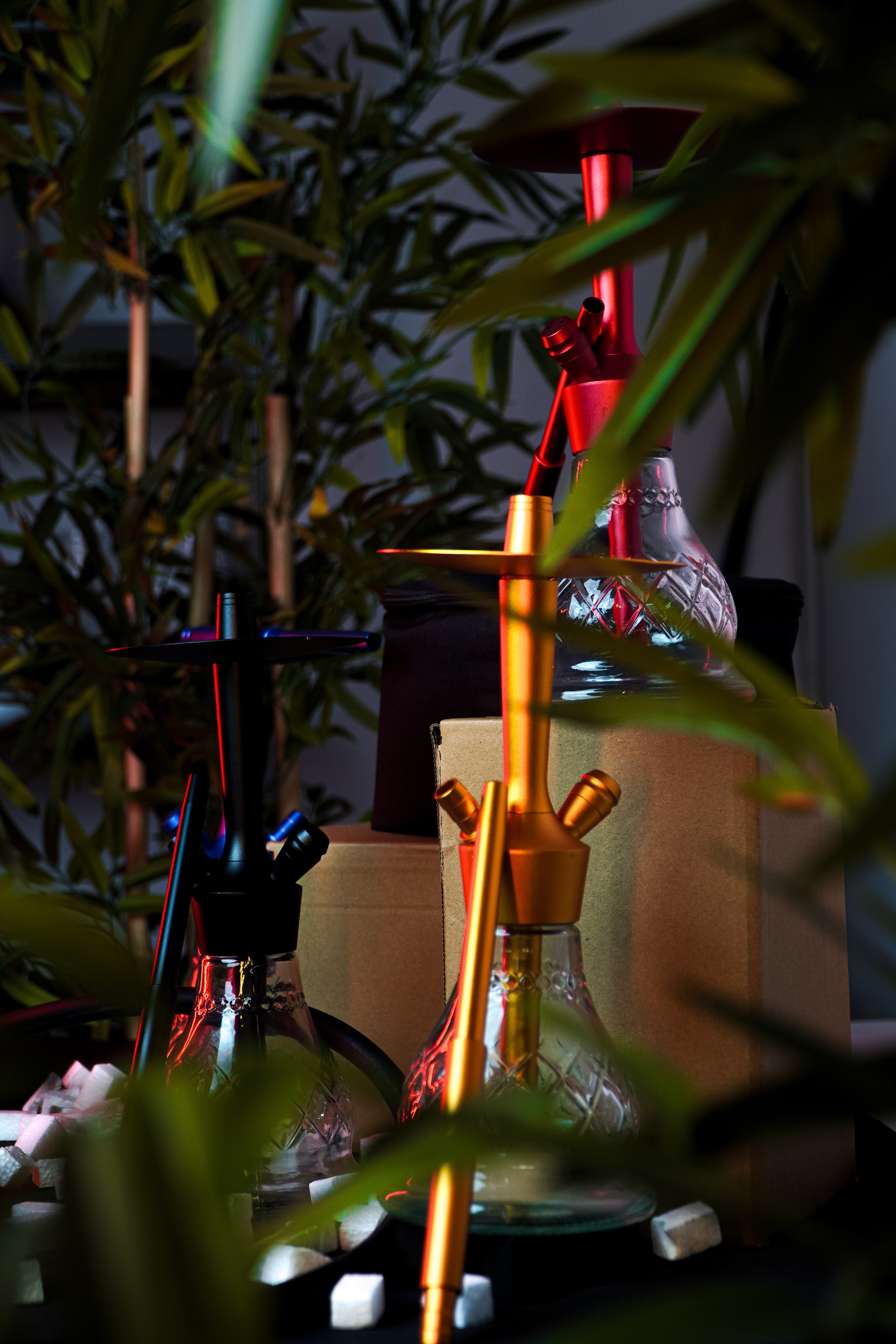 Cachimbas. Baby Beast