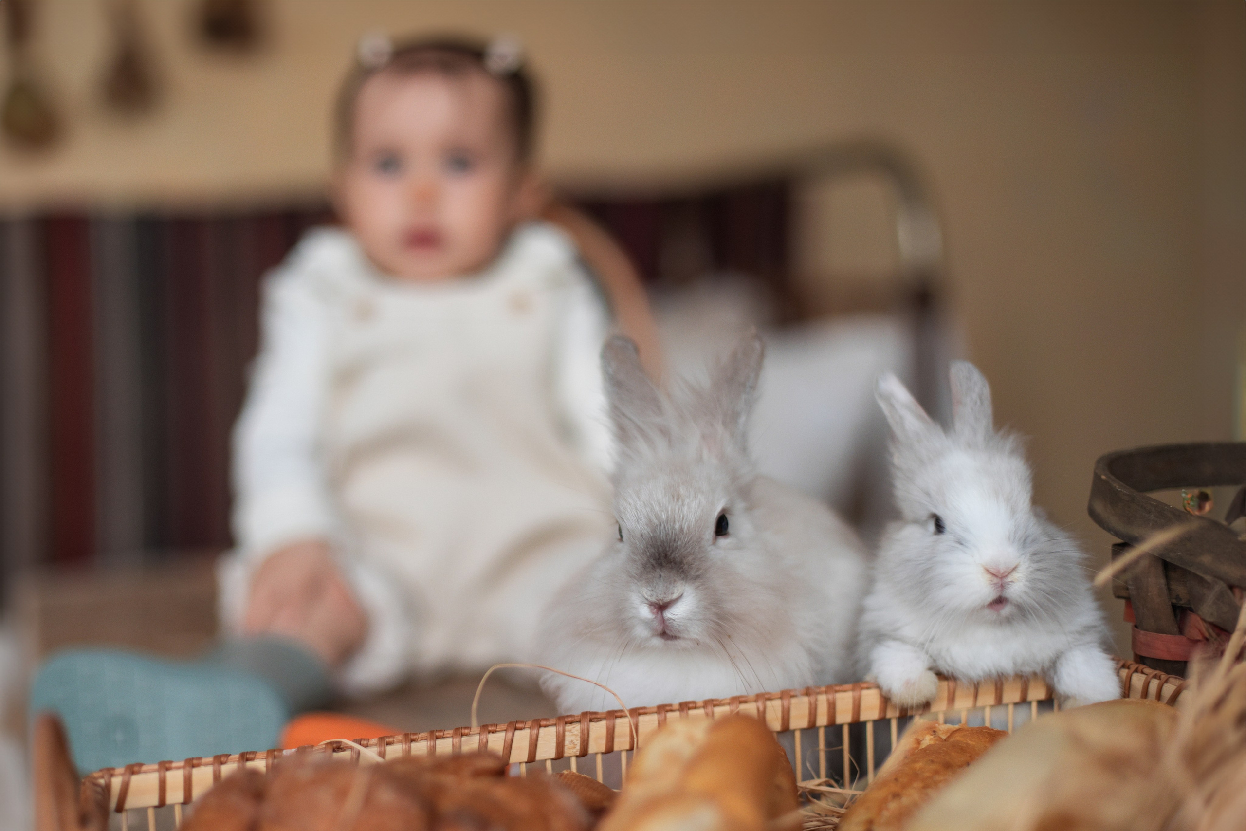 Family photo Veronica Grigoras. N.D.photograph - fotograf de familie și portrete în Republica Moldova