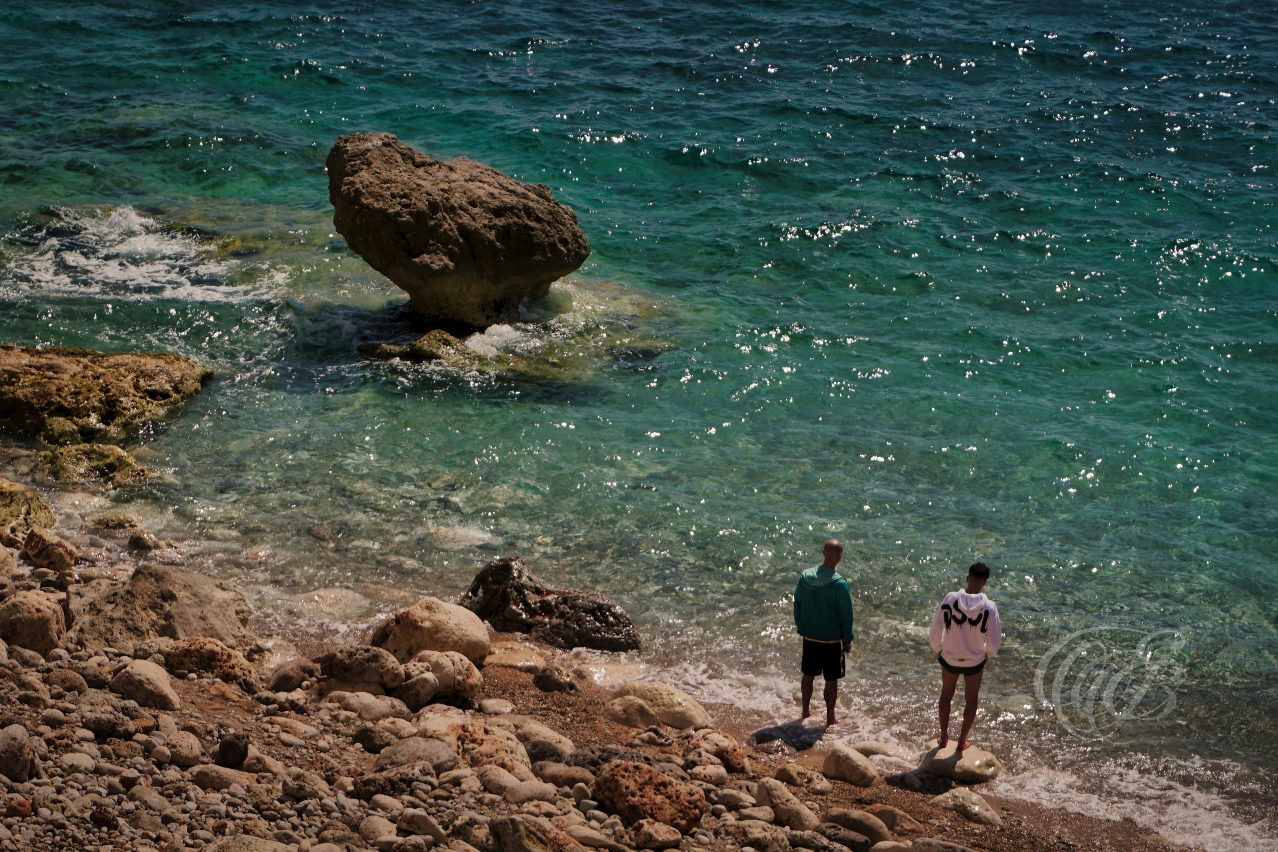 Punta des Grells is a coastal area located on the western edge of Palma de Mallorca, where rocky shores and Mediterranean landscapes meet along a rugged stretch of coastline. Known for its natural setting and proximity to the sea, the area offers a quieter perspective on Mallorca beyond its urban center. This photograph reflects the seasonal character of the landscape and the interplay of natural forms that define much of the island’s coastline.