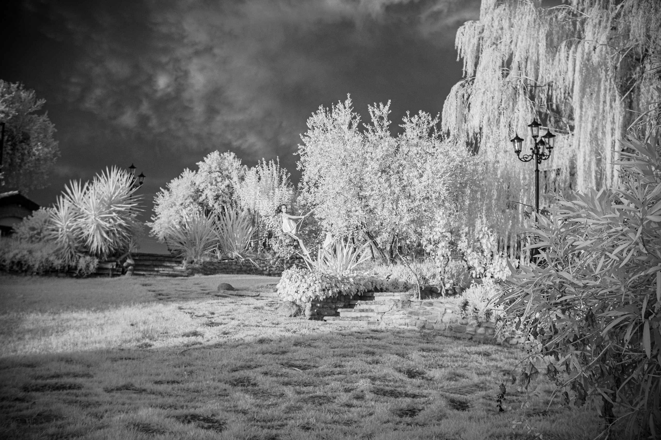 Infrarossi. Fotografia e video