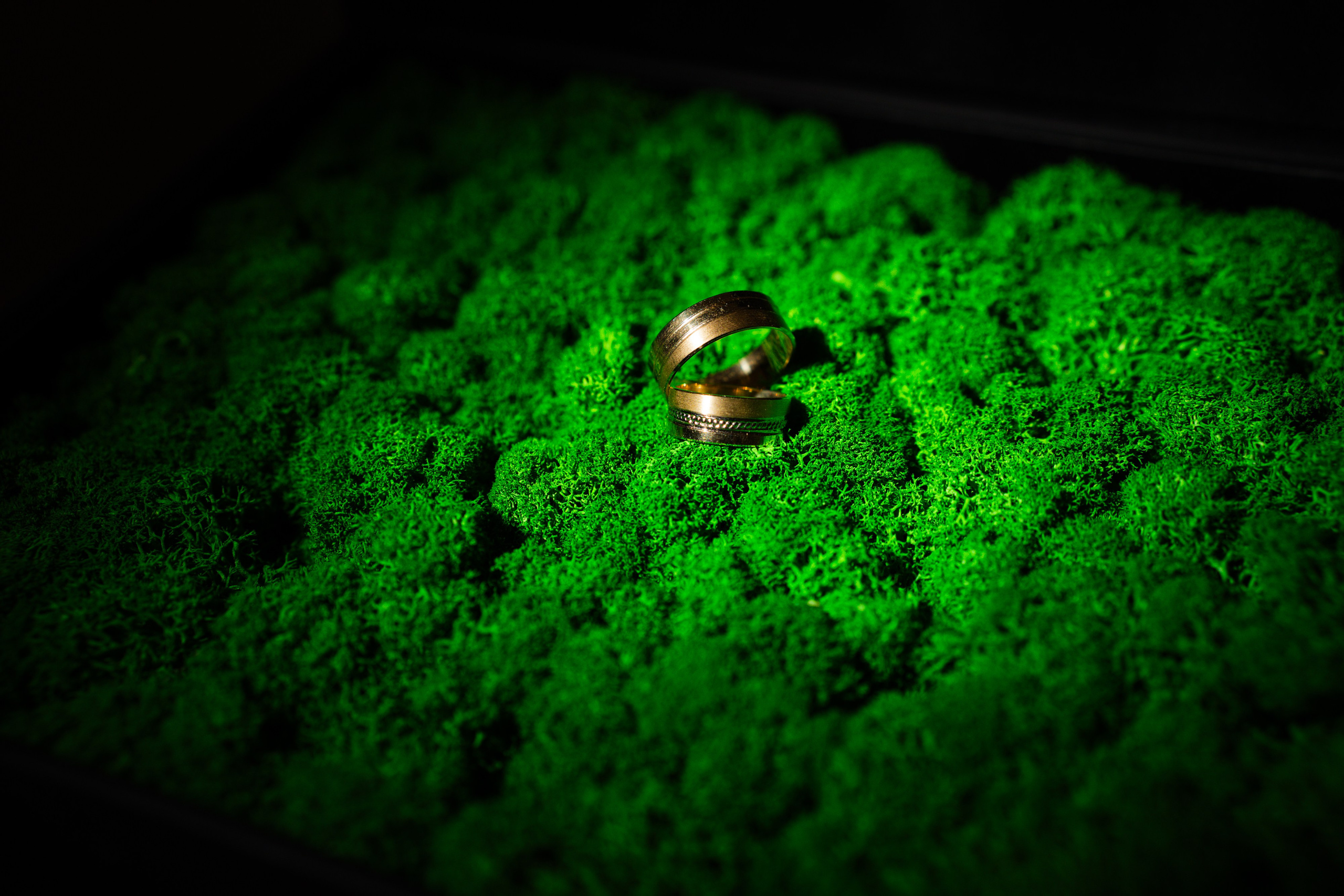 Bella & Adi. Foto Studio — Fotograf de evenimente, nunti, botezuri, portrete