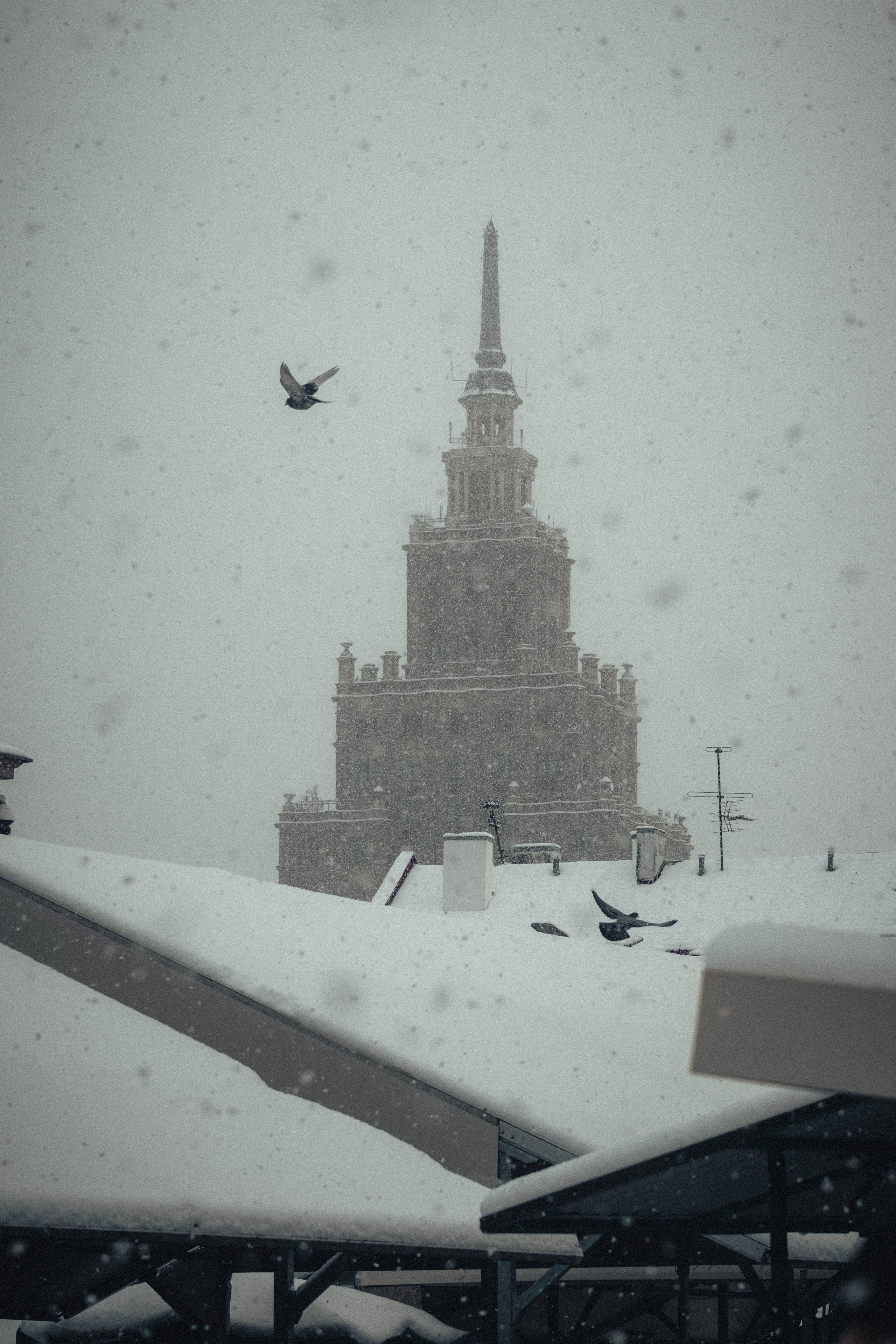 Street. Portrait and Street photographer in Vilnius Edgar Shaipunas