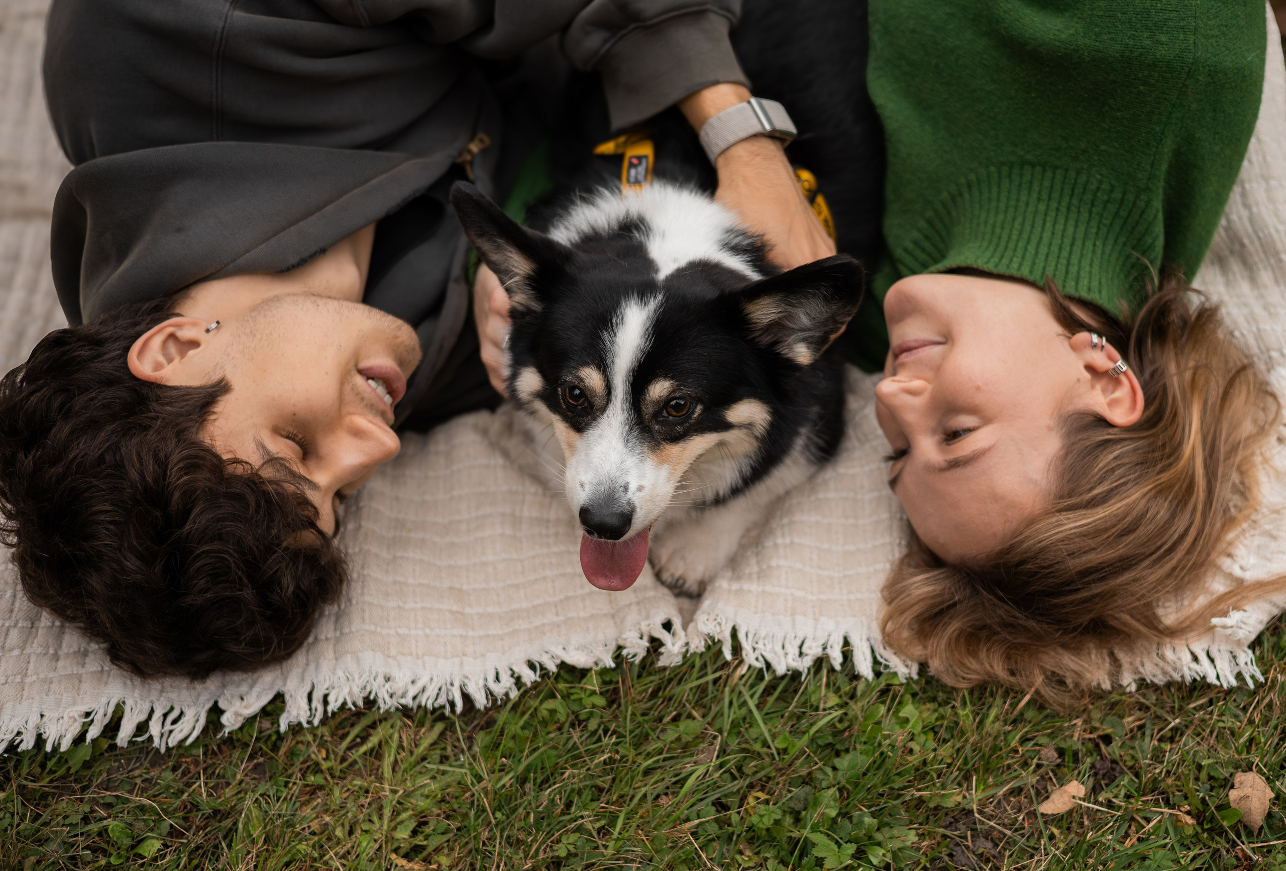 Даня, Аня и Плюша. Фотограф-анималист | Белград