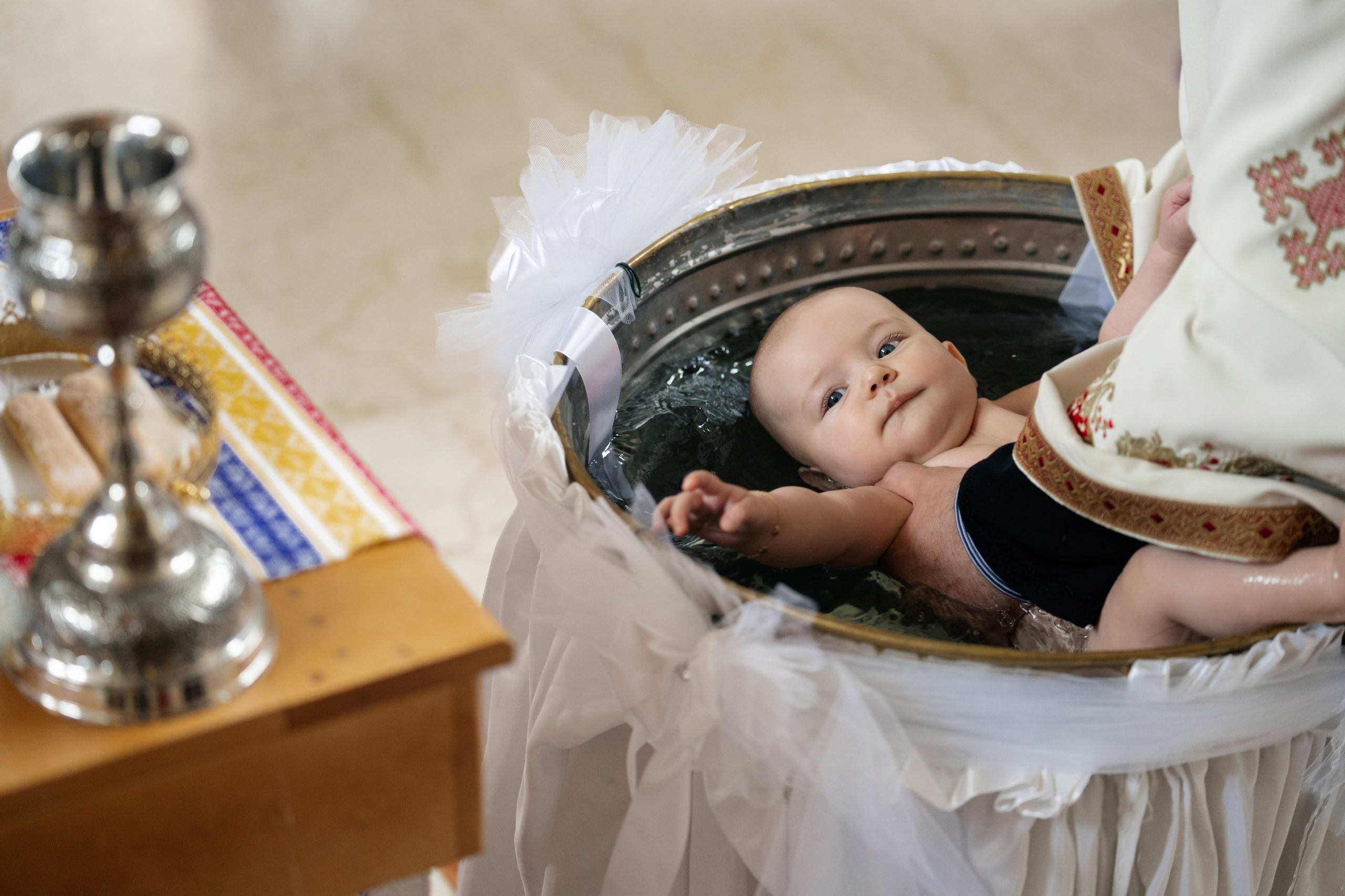 Adele Mari. Studio Timis