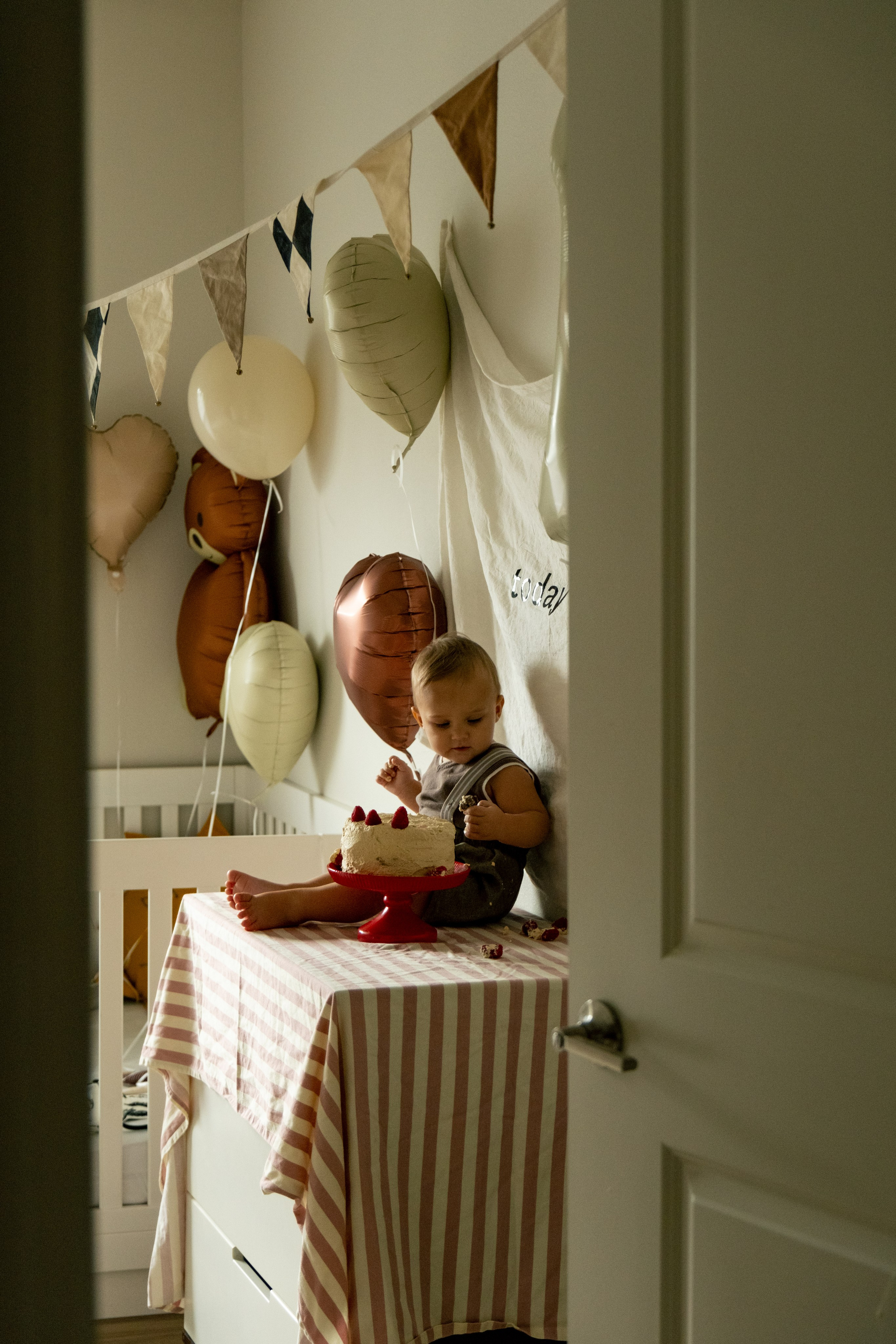 Veniamin 1 year party. Photographer Vladmir Gladkov