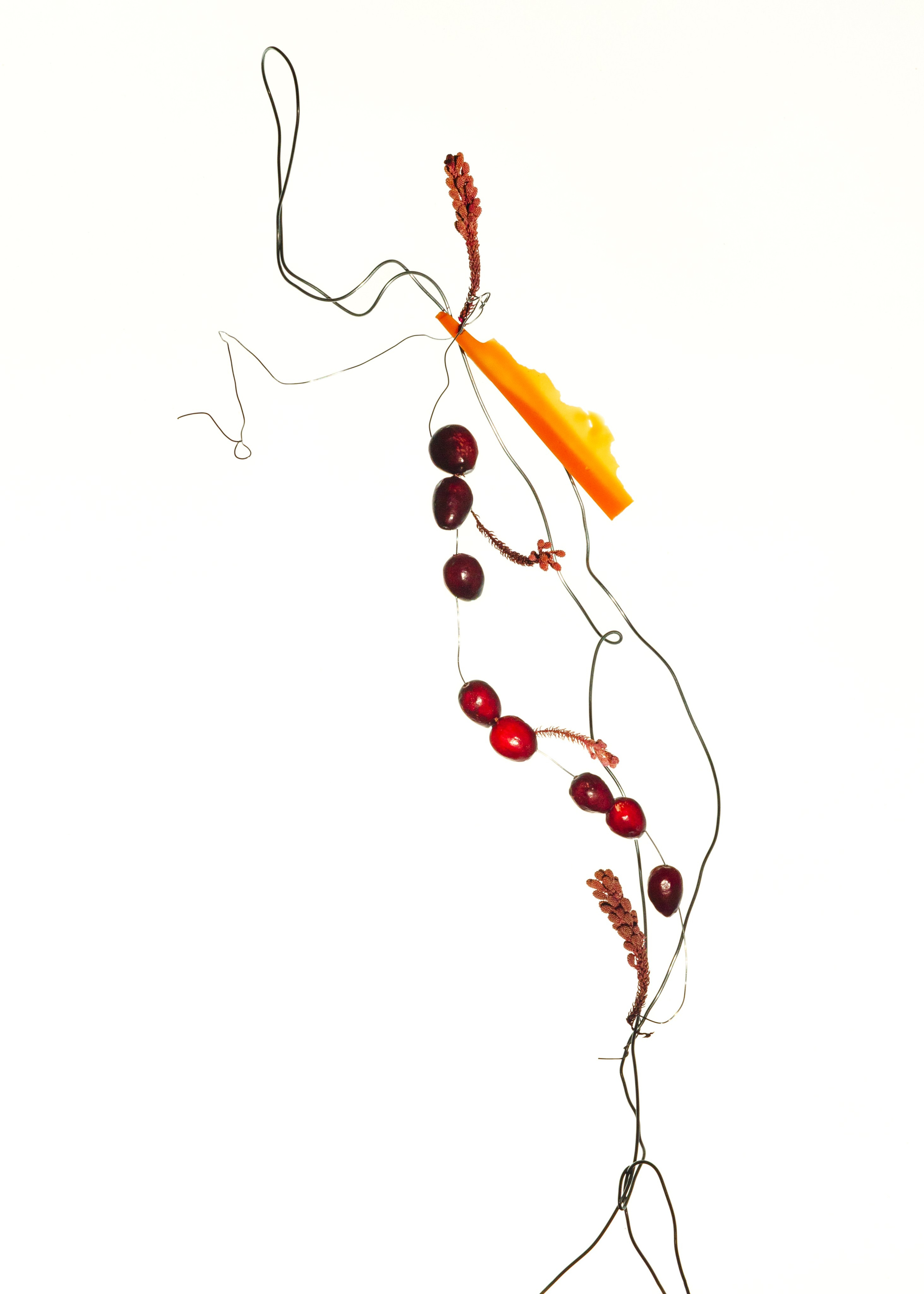 Tethered. Marina Tsaregorodtseva Fine Art photographer, London