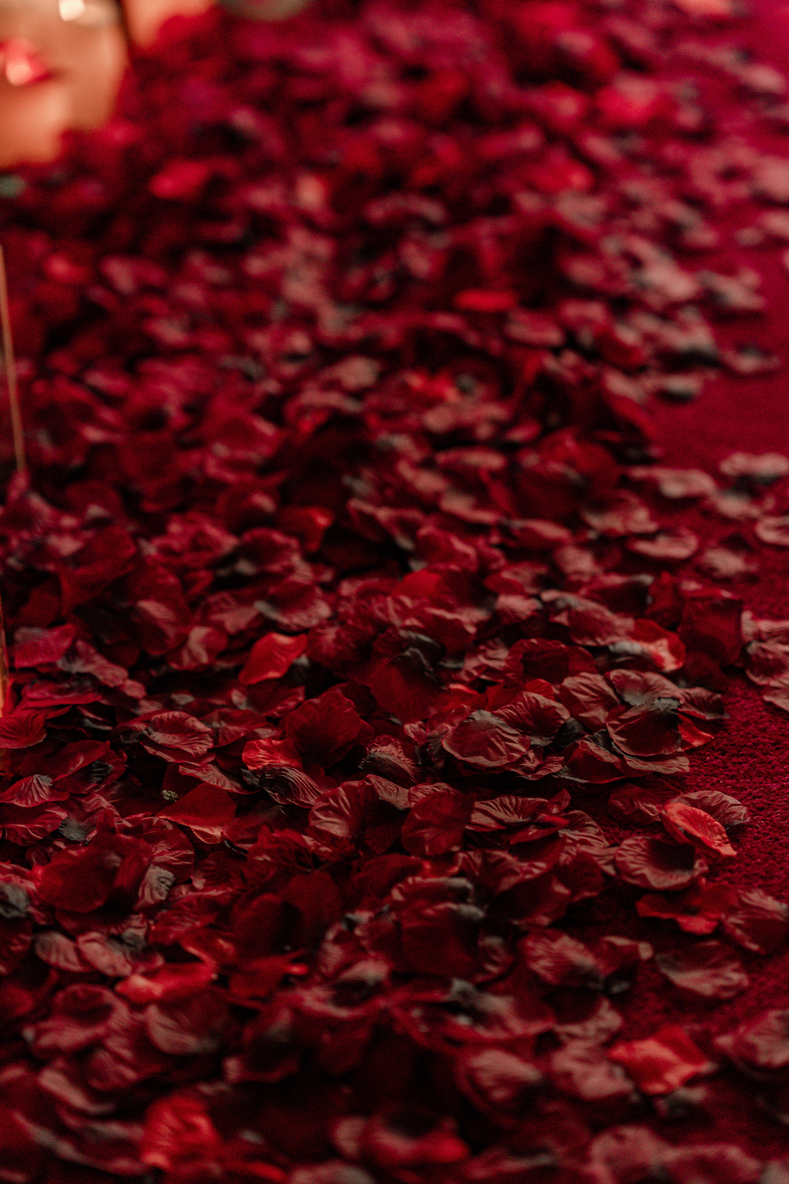 Decor Luxe. Tonya Kyrylenko photographer in London