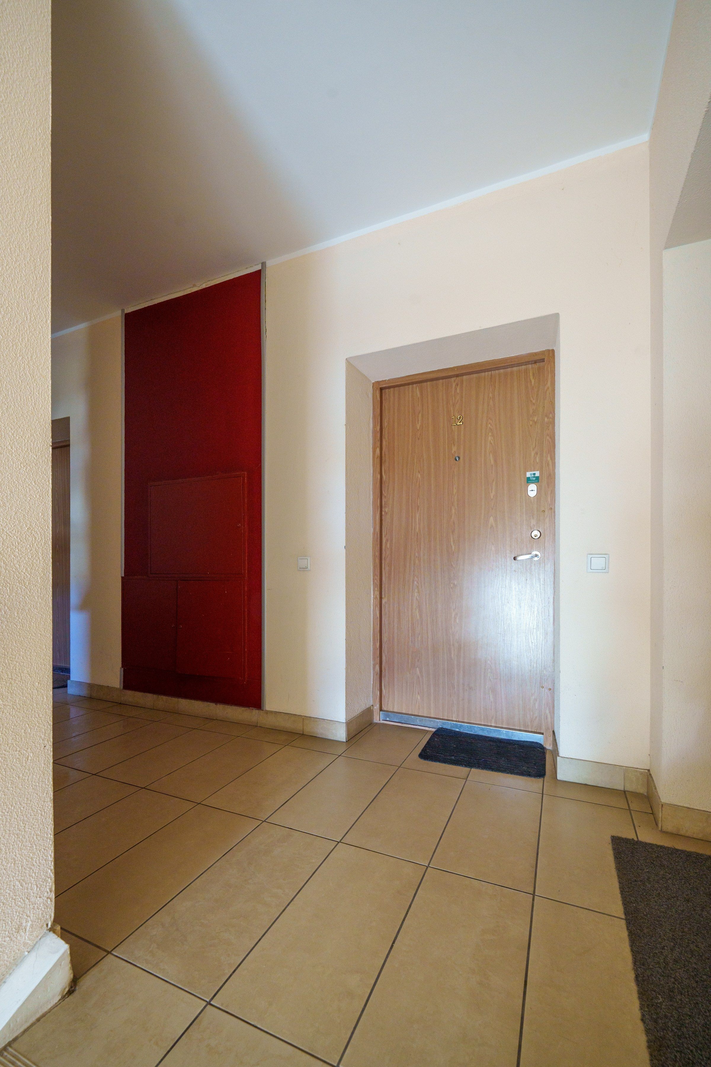 Šv. Stepeno g. 29, 2-jų kambarių buto fotosesija. Elina Sapiega fotografė Vilniuje