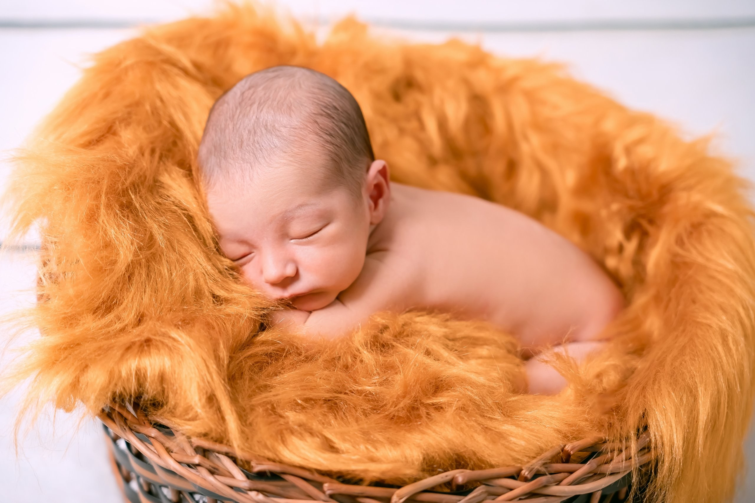 Gael — 30/12/2023. Luiz Medeiros Produções