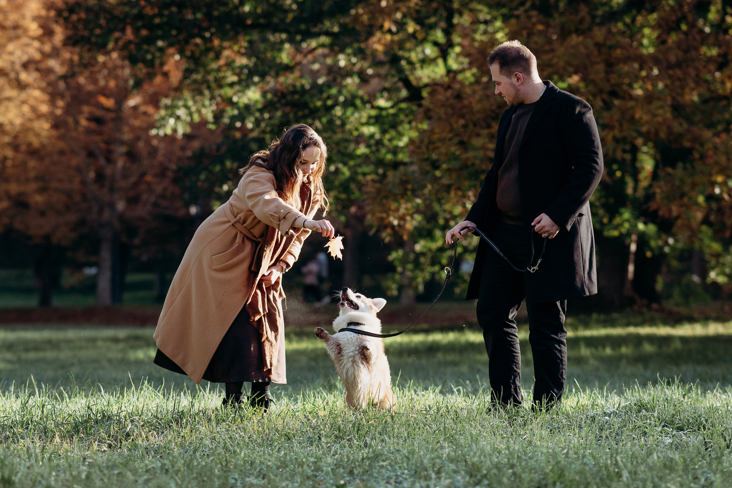 Liisa, Alexander & Marsel. Фотограф-анималист в Таллинне, Катя Лайсаар
