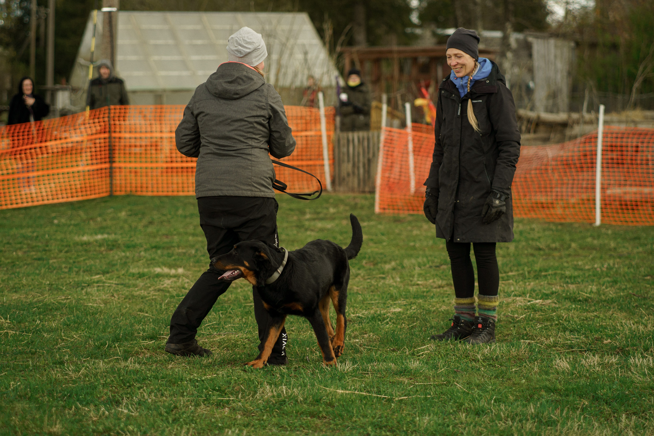 Herding Days, 26 apr. 2025. Kat Laisaar — Pet photographer in Tallinn