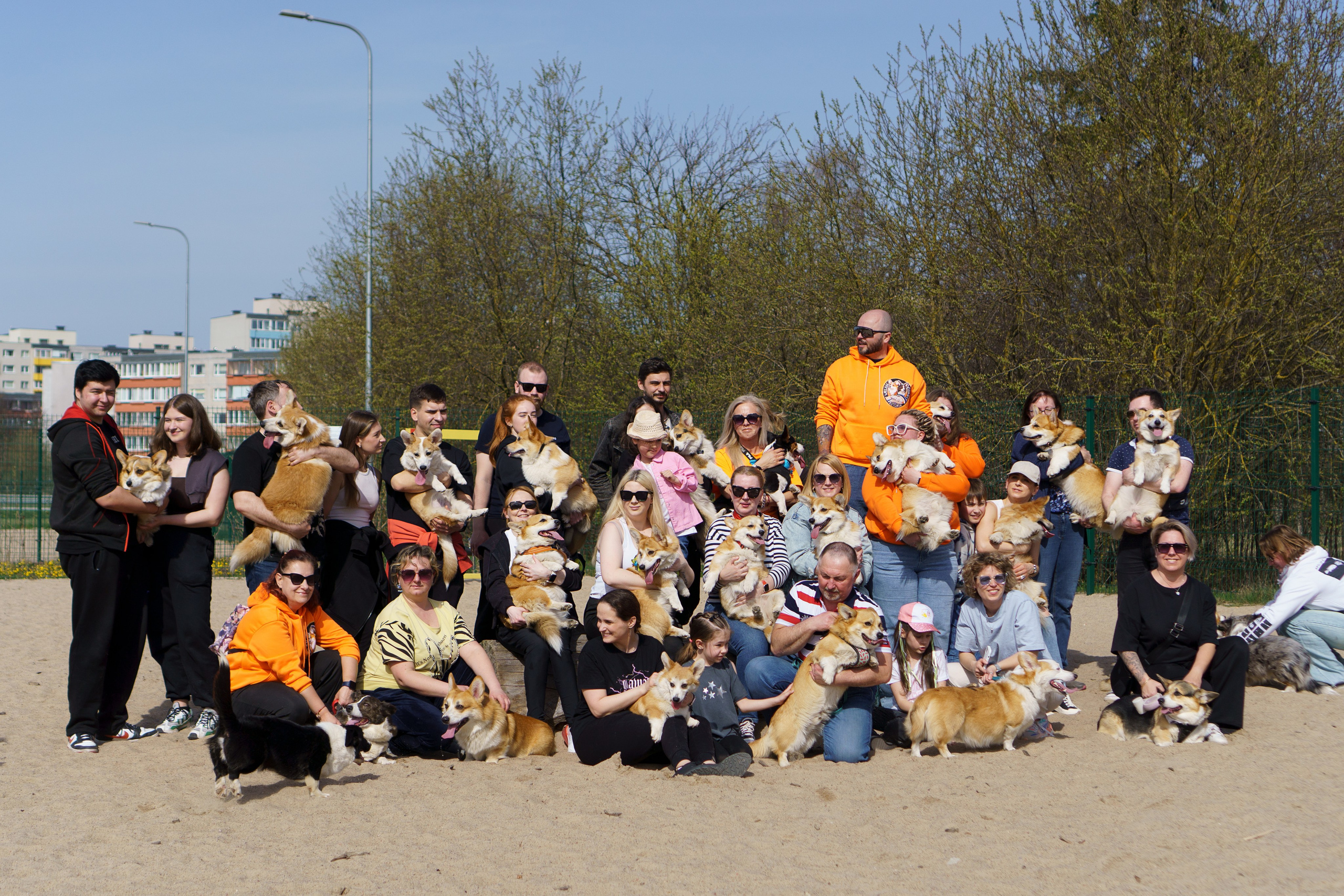 Corgi party, 18 apr. 2025. Kat Laisaar — Pet photographer in Tallinn