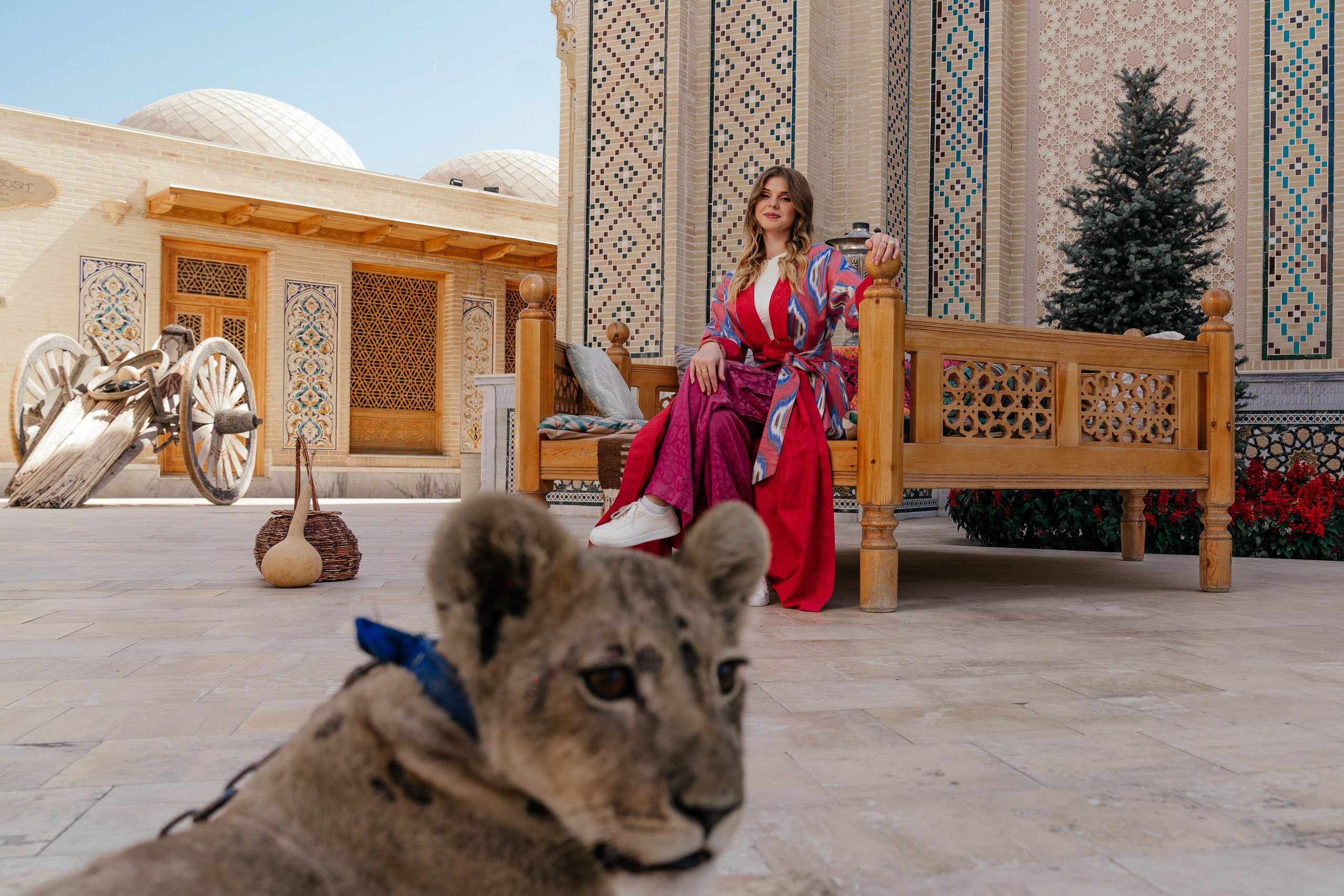 Выжить в самарканде. Фотограф в Узбекистане и Самарканде Джасур Марупов