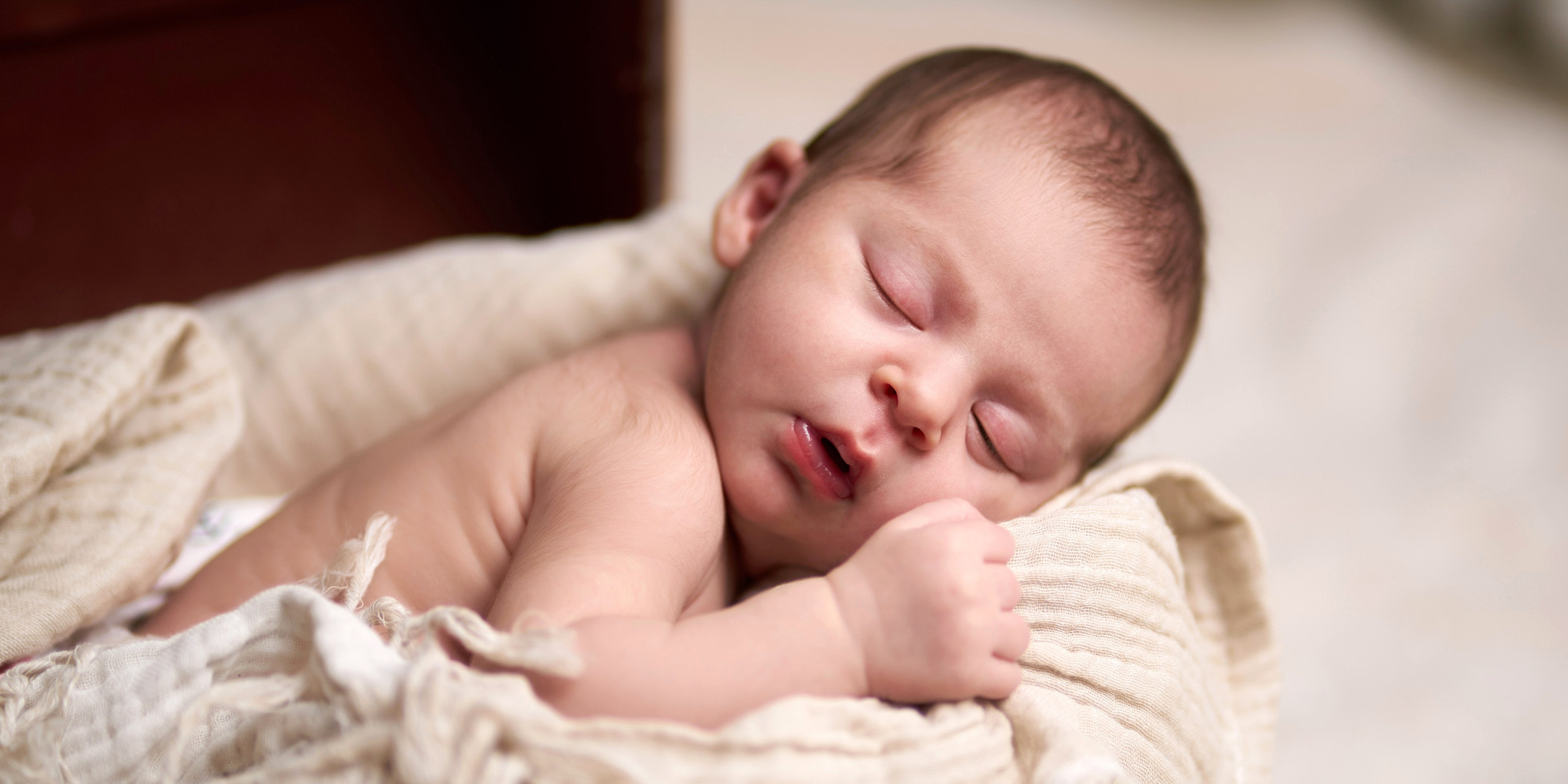 צלם אלכס ברט בישראל