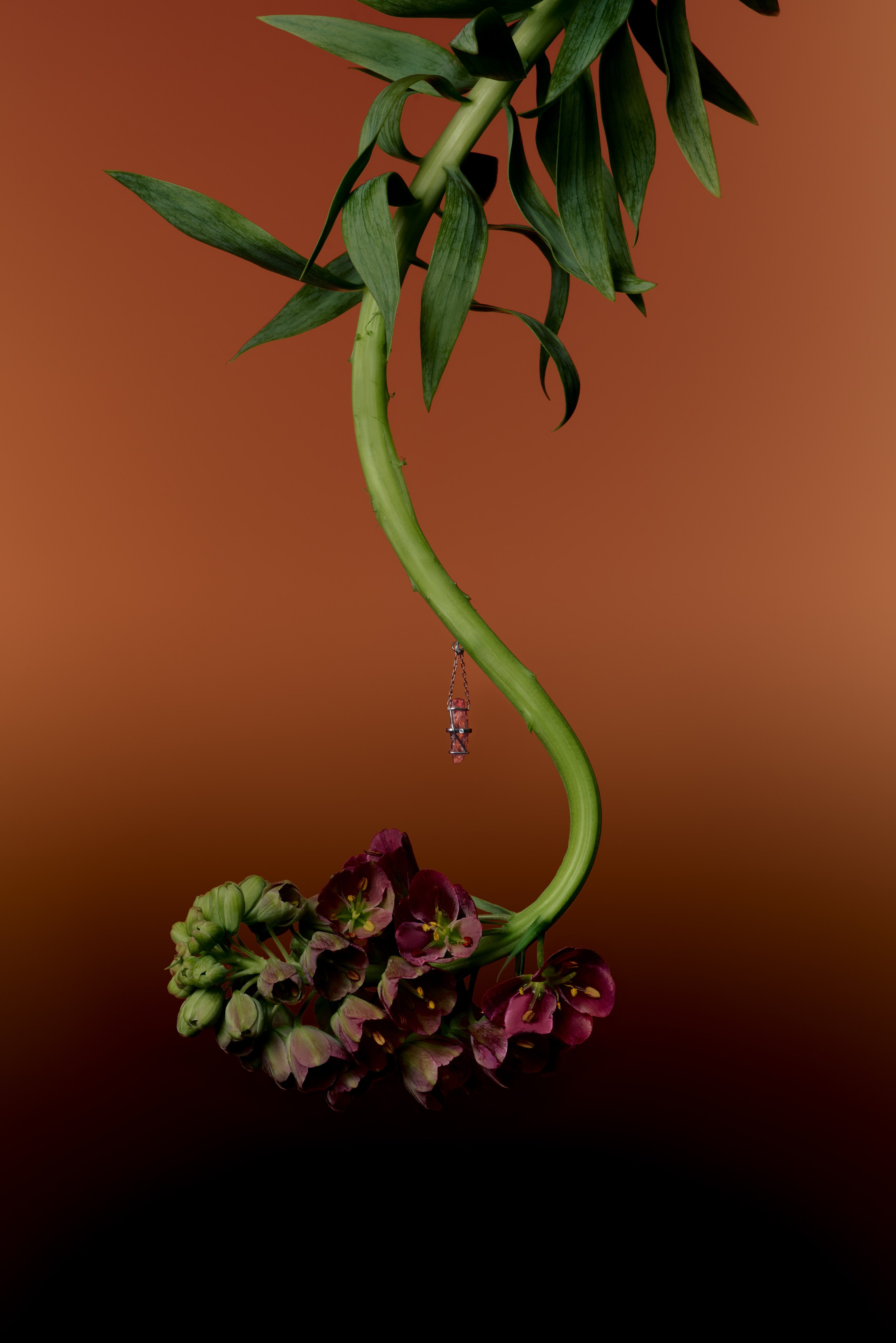 Fashion & Product. Photographer and videographer for business in Tbilisi Catrine Poznyak