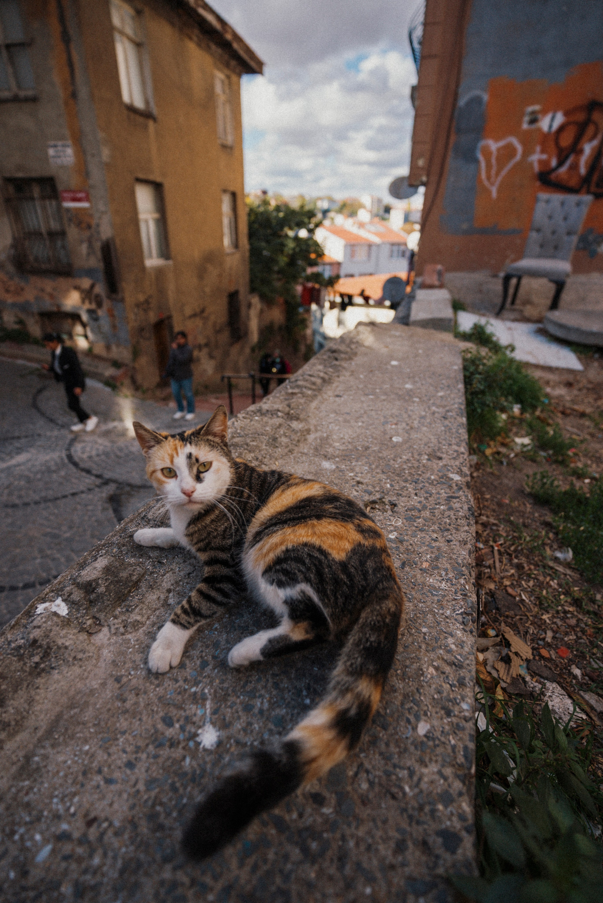 СТАМБУЛ. Стрит-фотография, полная абсурда, идиотизма и красоты