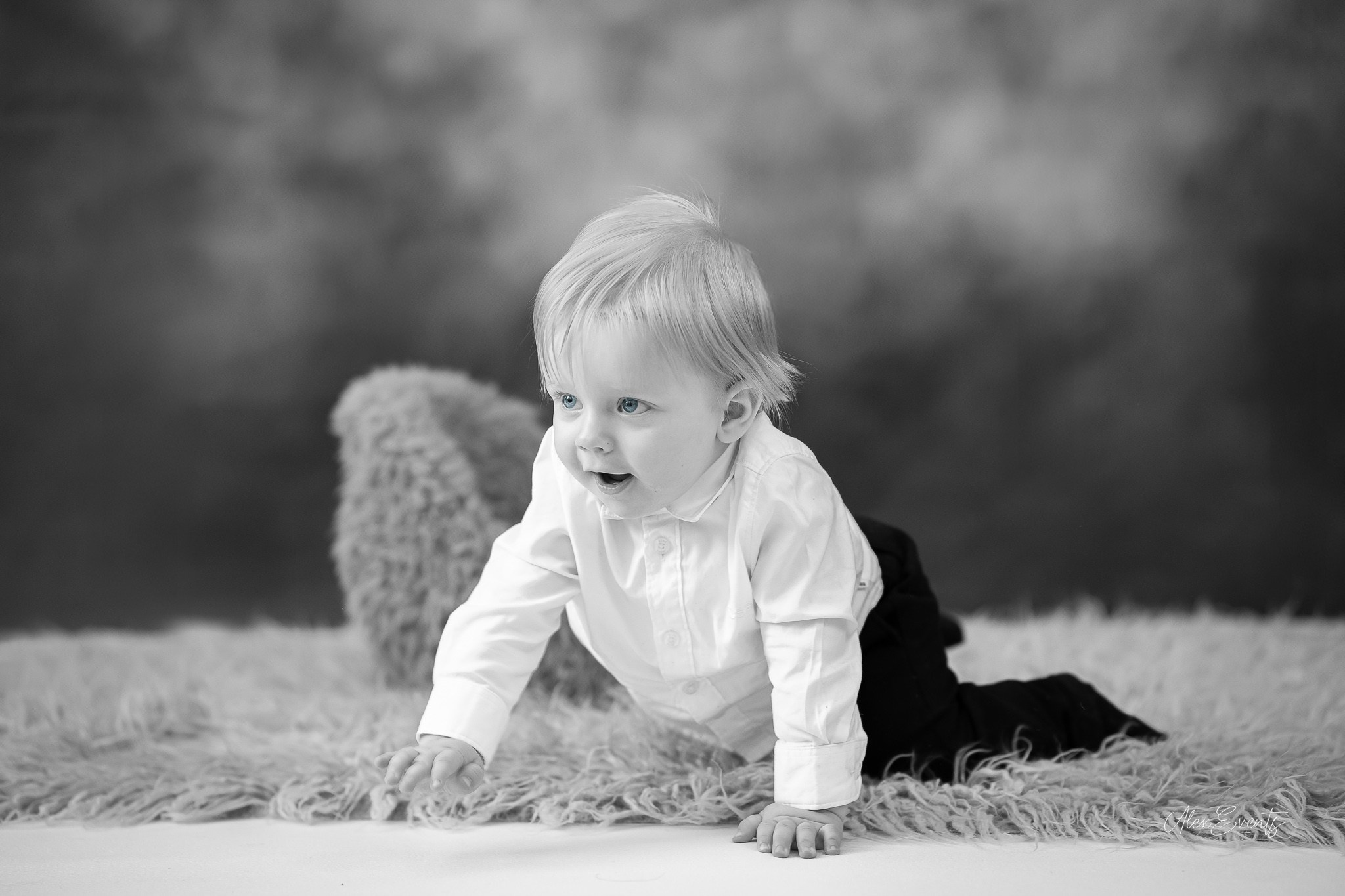 Fotograf Studio copii 1 an Romani Danemarca | Alex Events. AlexEvents Fotograf / Videograf de evenimente Danemarca DK Horsens, Arhus, Odense, Vejle.Nunta, botez, foto-studio