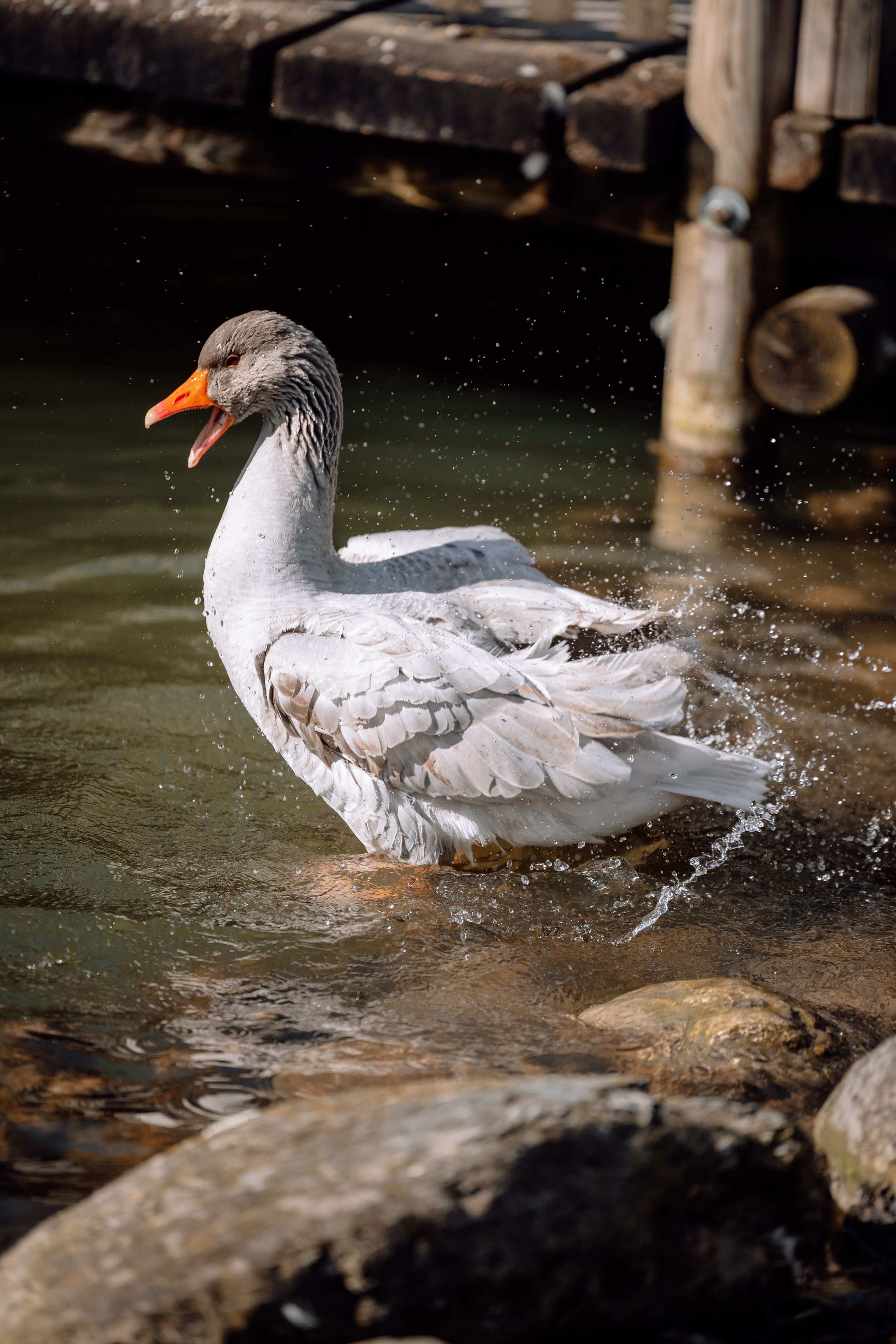 In der Natur. Hochzeitsfotograf München Taufe Familienfotograf Tanja Mauke