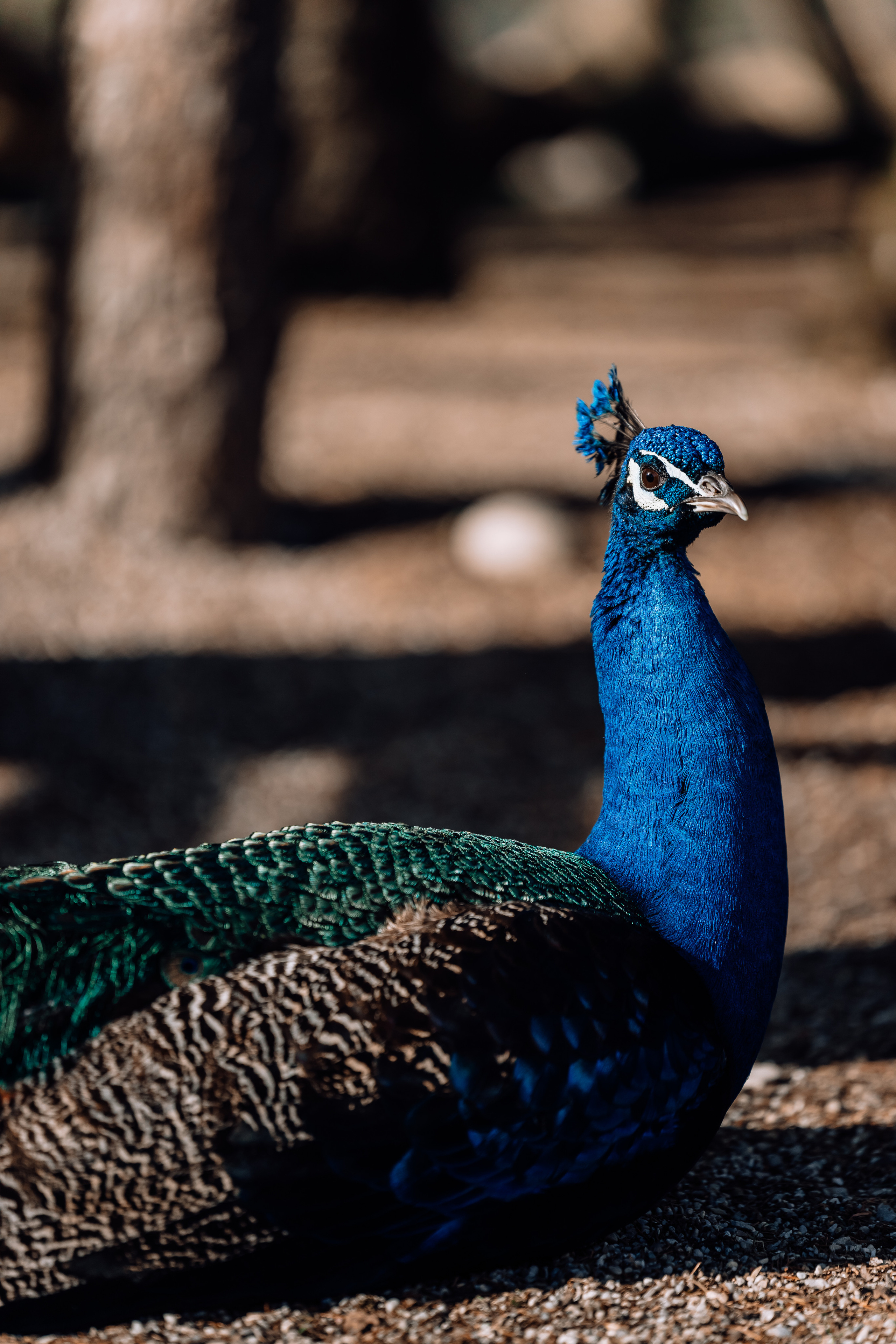 In der Natur. Hochzeitsfotograf München Taufe Familienfotograf Tanja Mauke