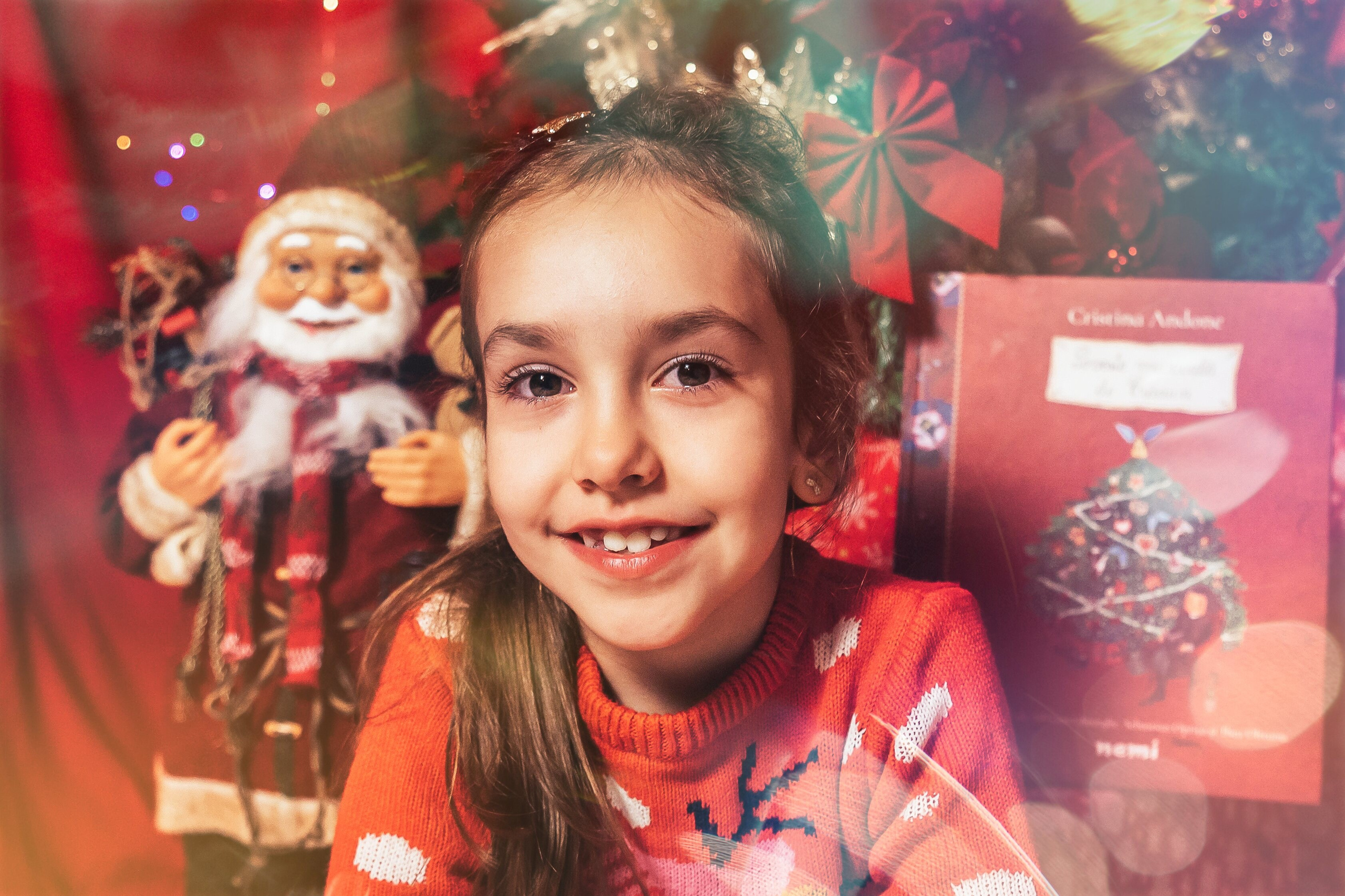 Sedinta Craciun Sofia