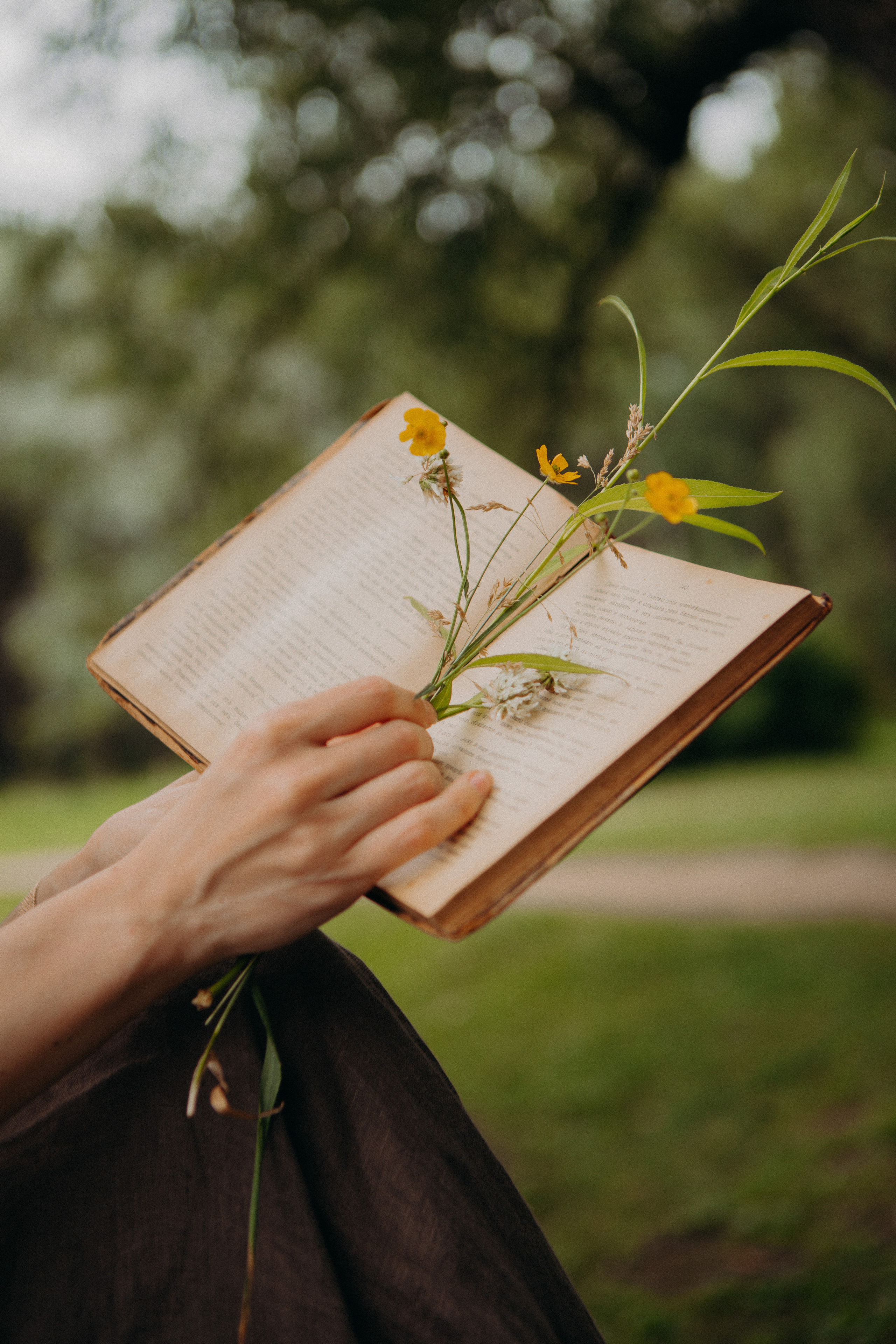 Контент для блога специалиста по травам. Контент-фотограф Алина Филимонова