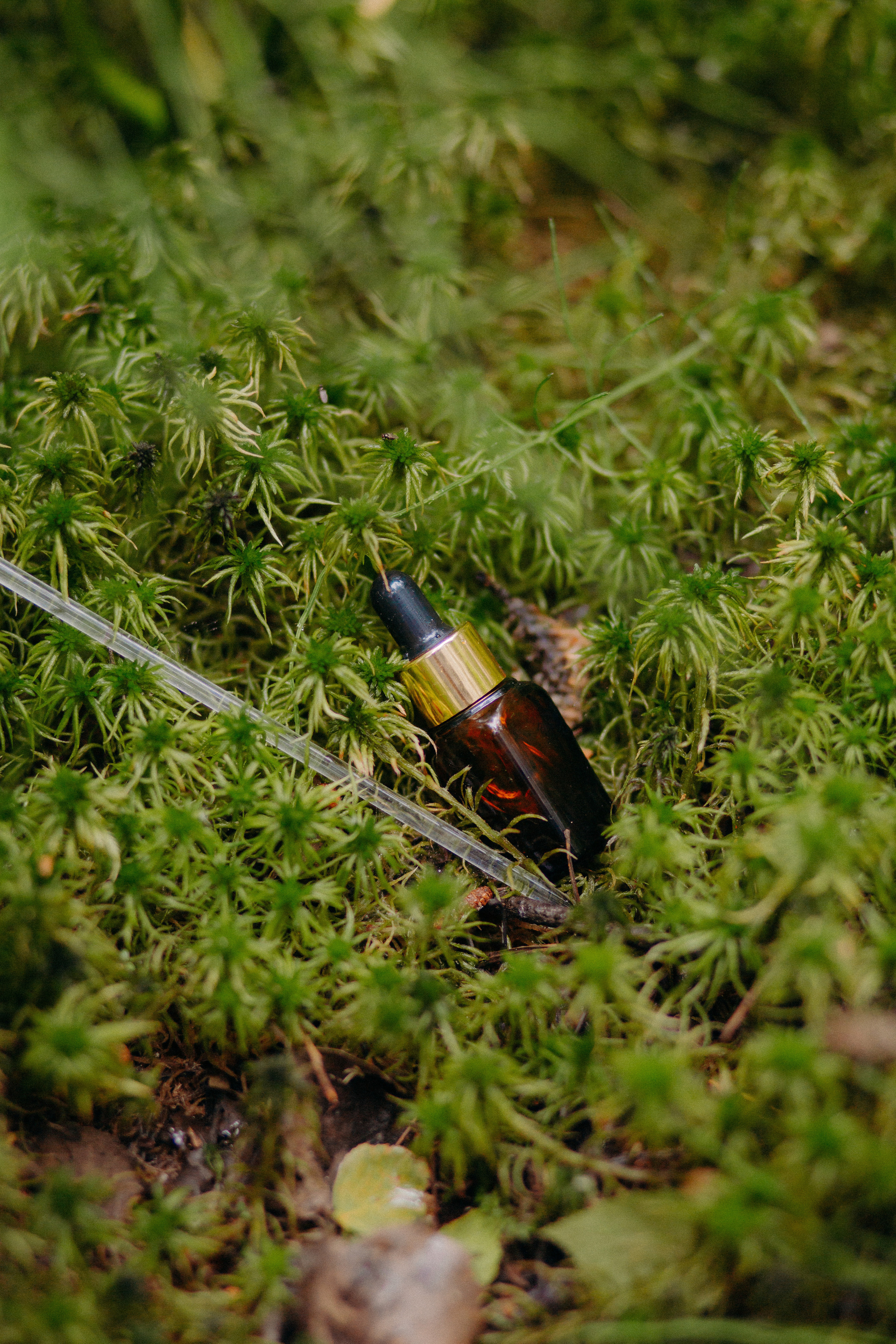 Контент для блога специалиста по травам. Контент-фотограф Алина Филимонова