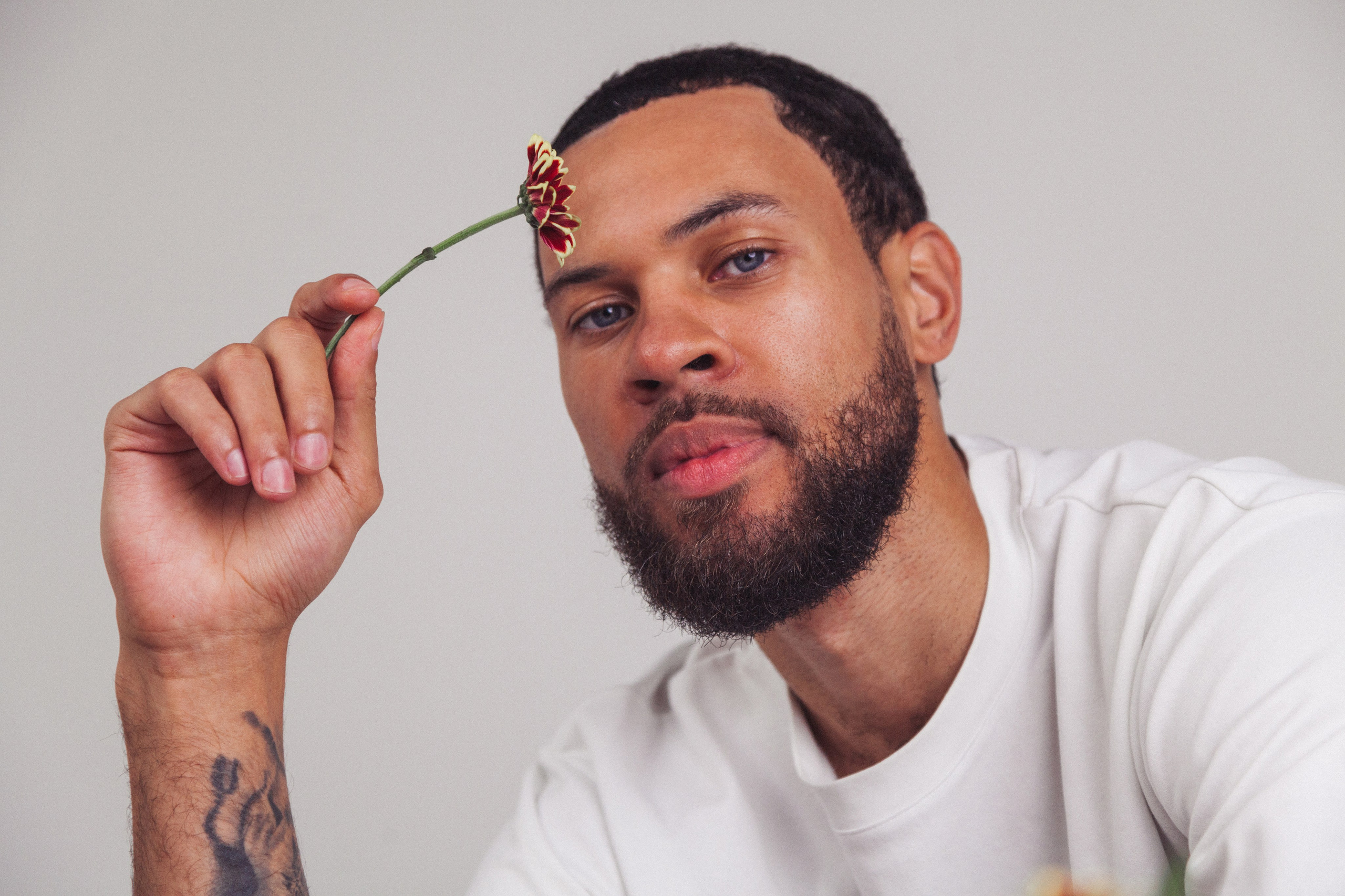 Teddy. Photographer Valeriia Shurko