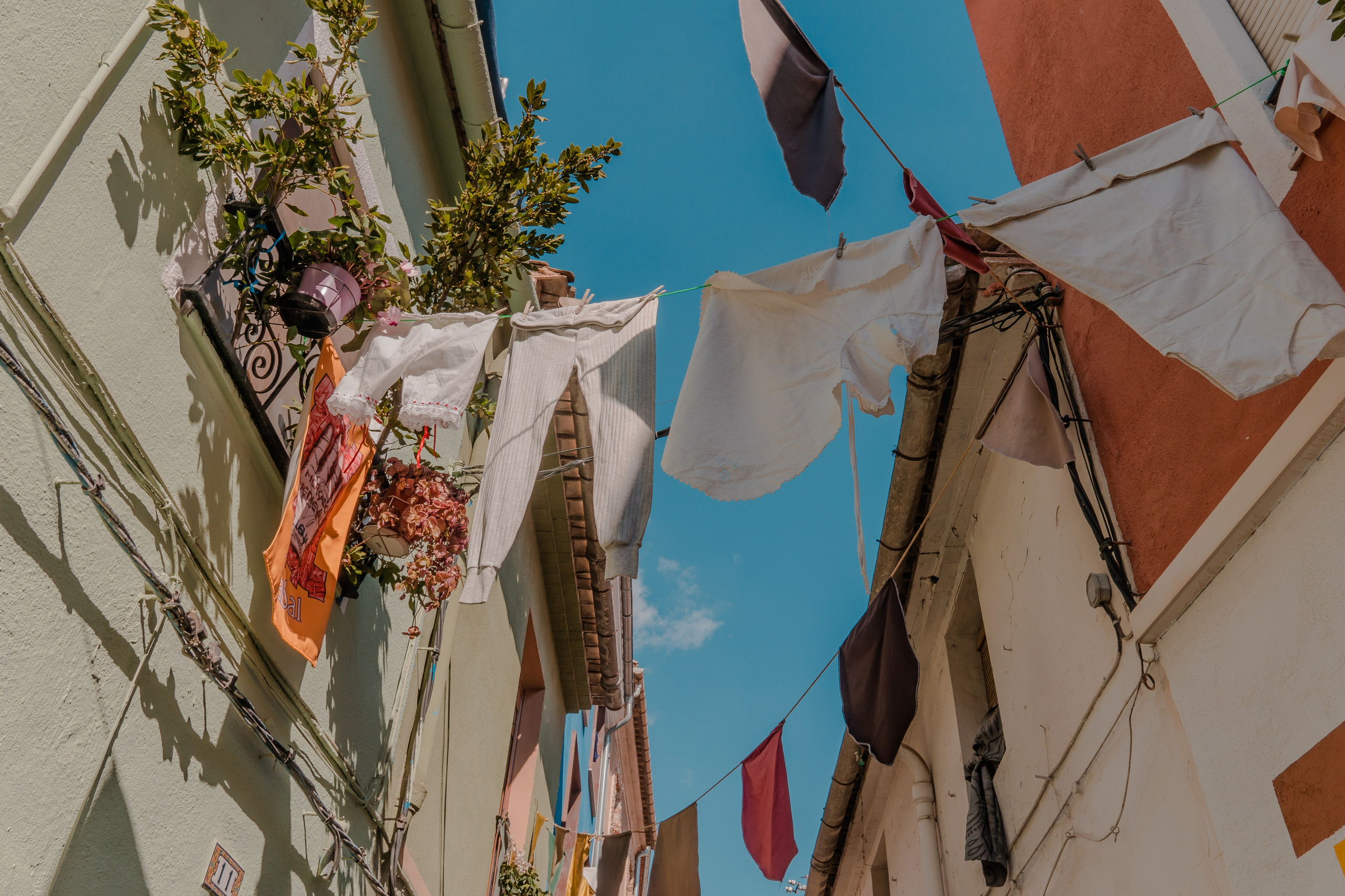 Villena. Alba del Norte Studio