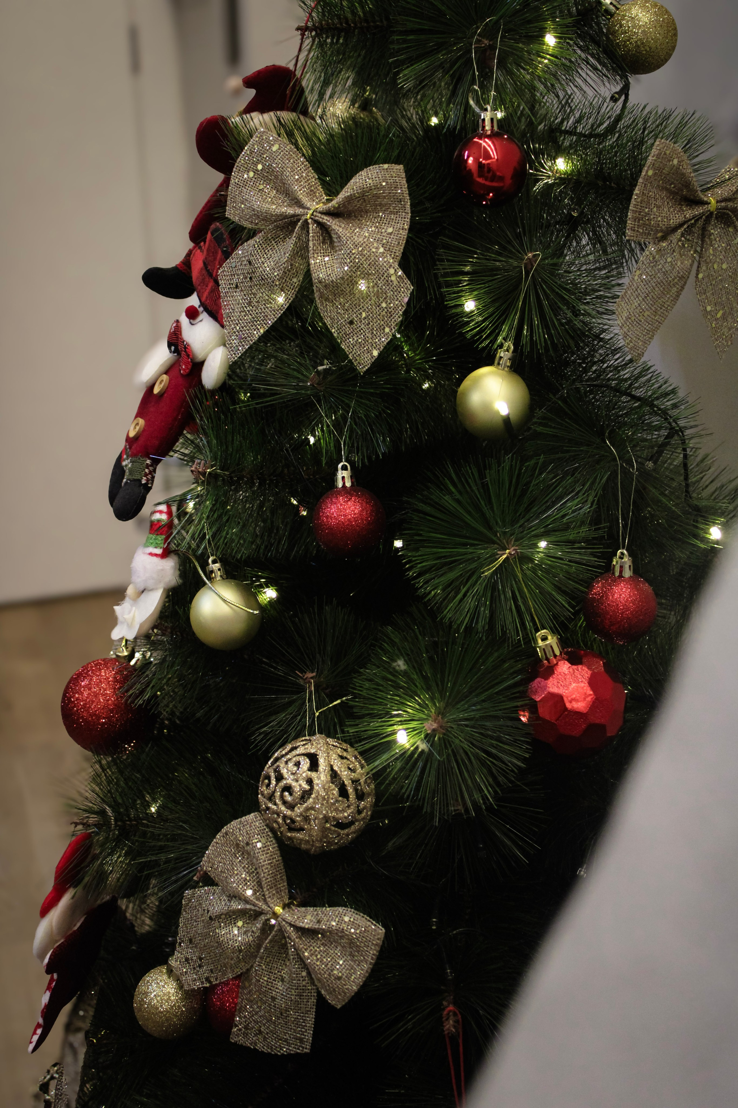 Fotos de Natal. Valkyestudio