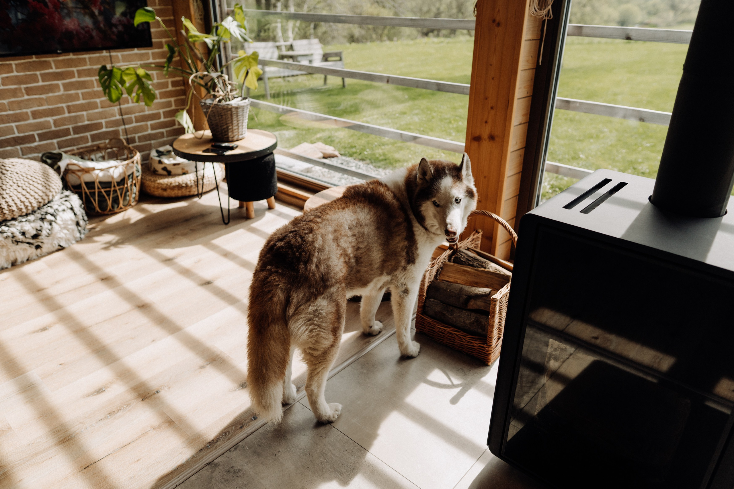 Friends. Фотограф в Праге Анна Лебедева