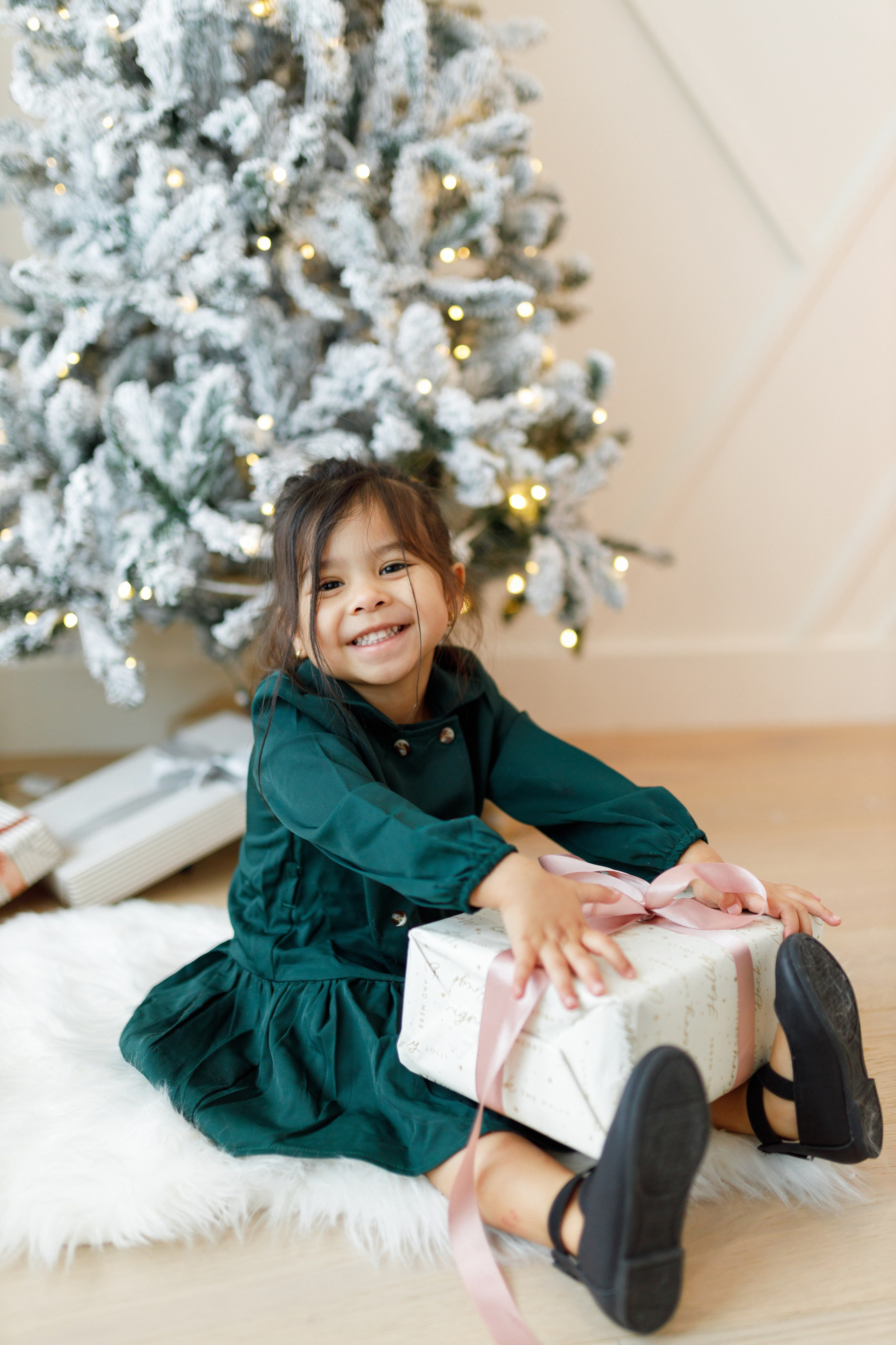 Christmas minis 2025. Home