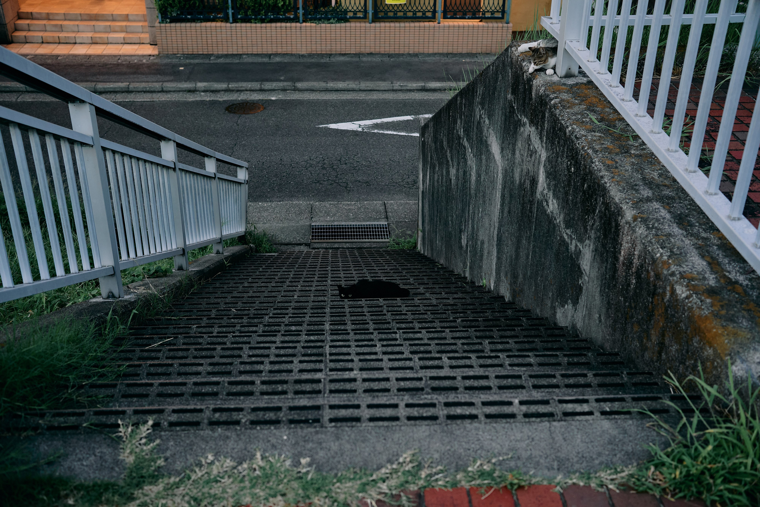緑のキュロット  (Work in Progress). MT
