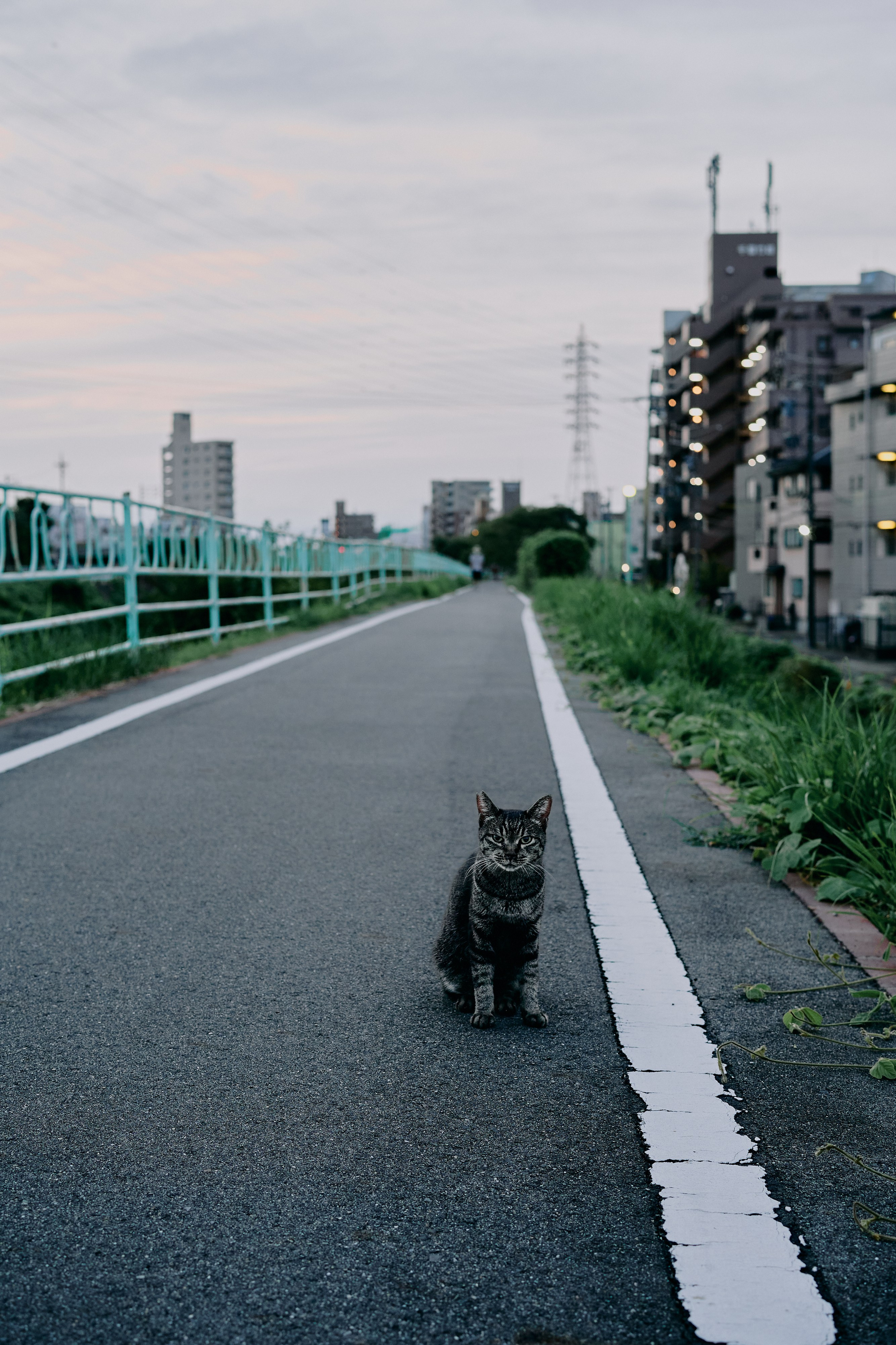 緑のキュロット  (Work in Progress). MT
