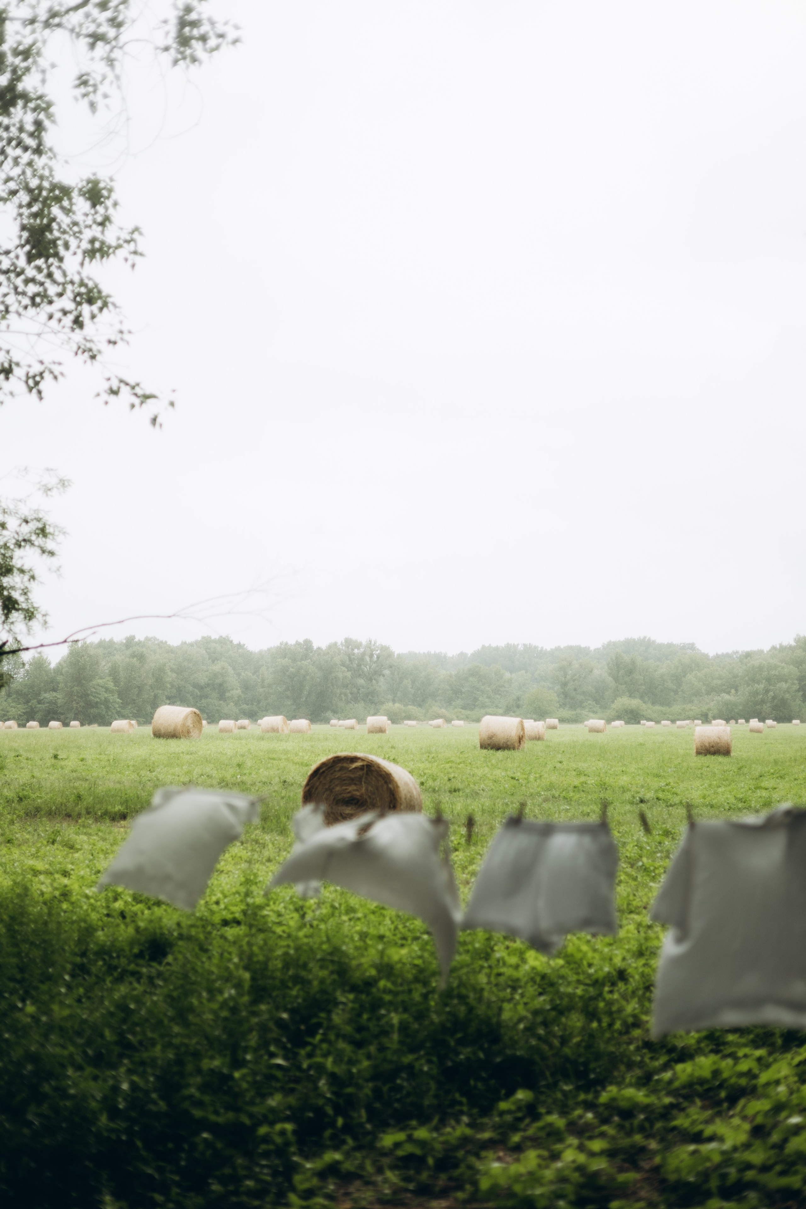 Snizana. Daria Sazanova — Portrait photographer in Bratislava and Vienna