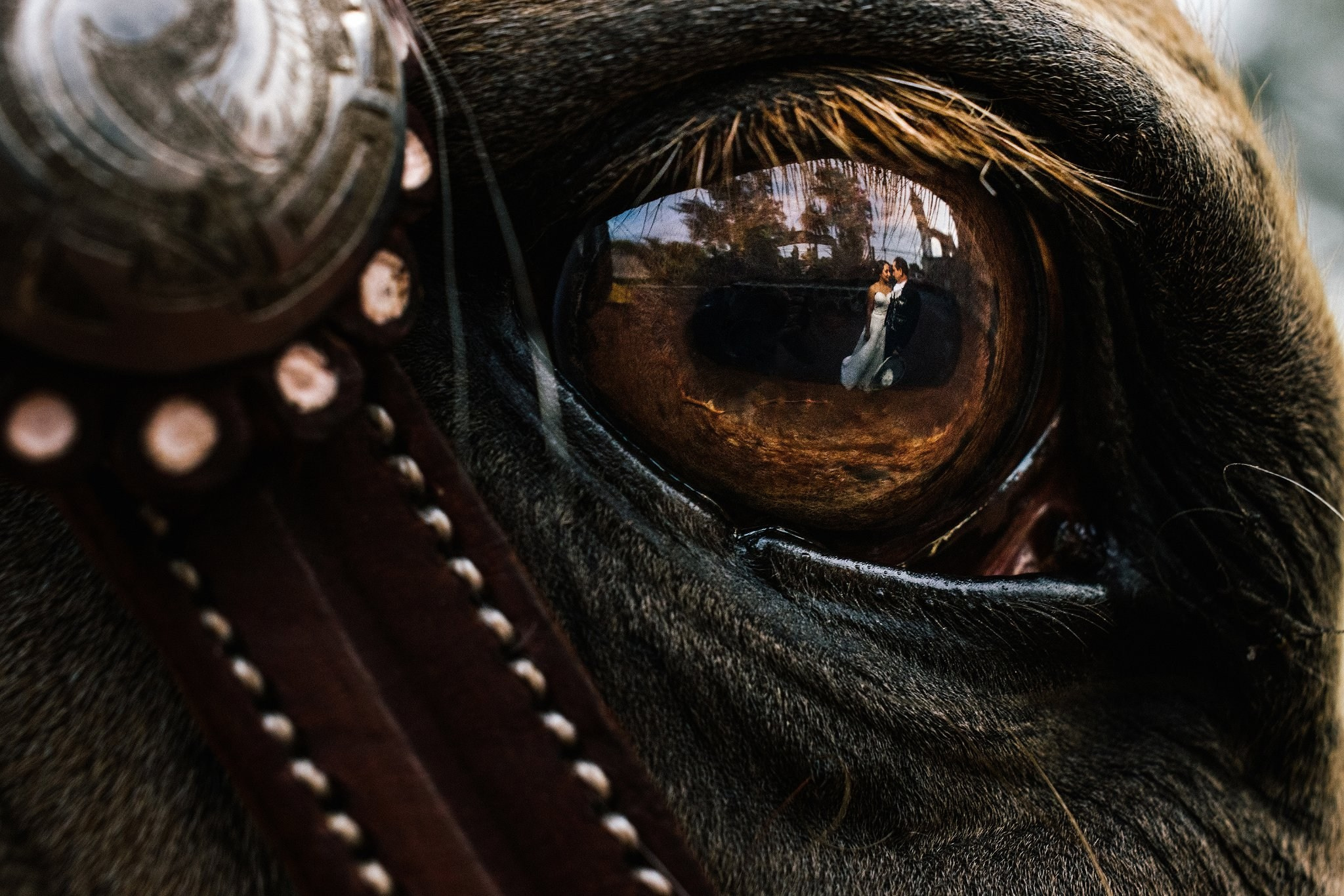 Galería Trash The Dress. Jorge Romero Fotógrafo de bodas