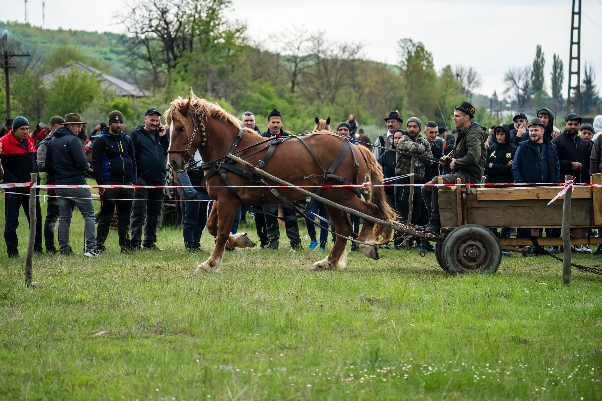 Concurs Ecvestru Vărbilău ediția a 4-a. Mihai Alexandra Events