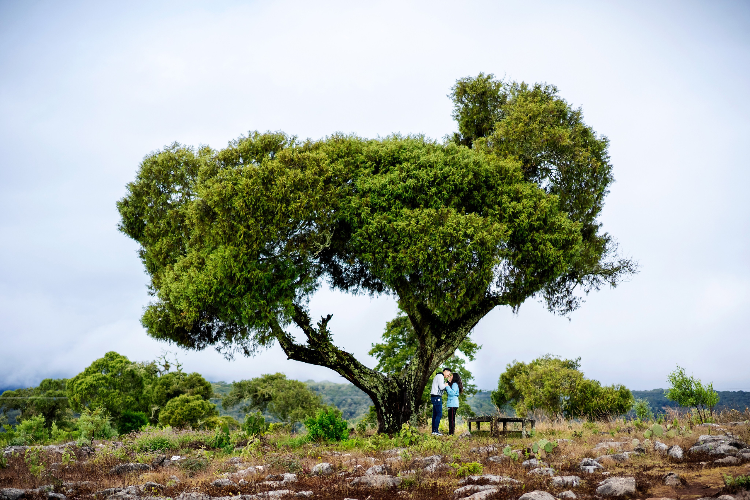 Sesion de Bodas. Emilianofilms