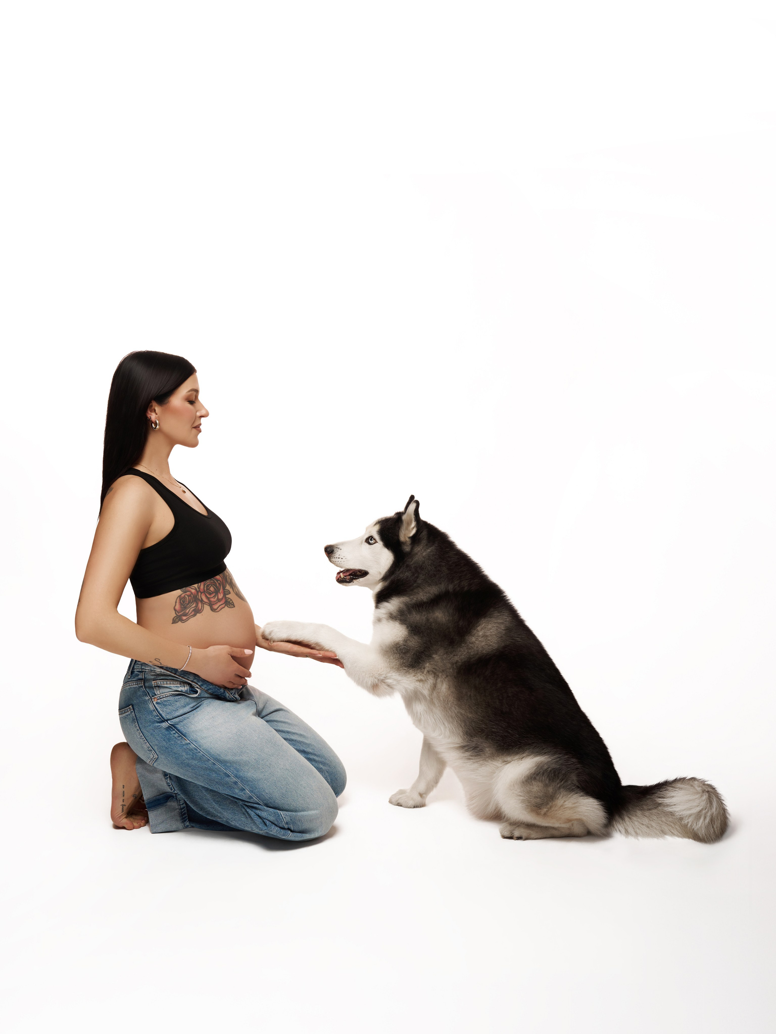 Pregnancy. Studio Timis