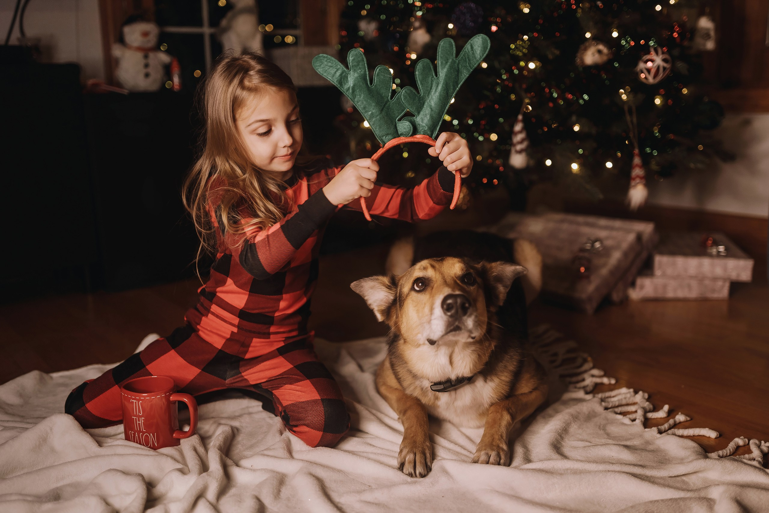 25.11.2023 Christmas Photoshoot 2. Wedding family event photographer in Chicago Nick Yushevich