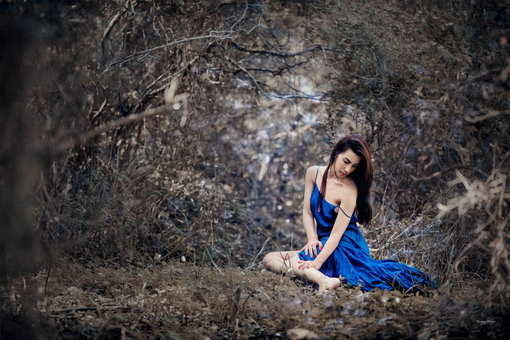 Fine Art Image gallery of Tomer Weiss Fine art