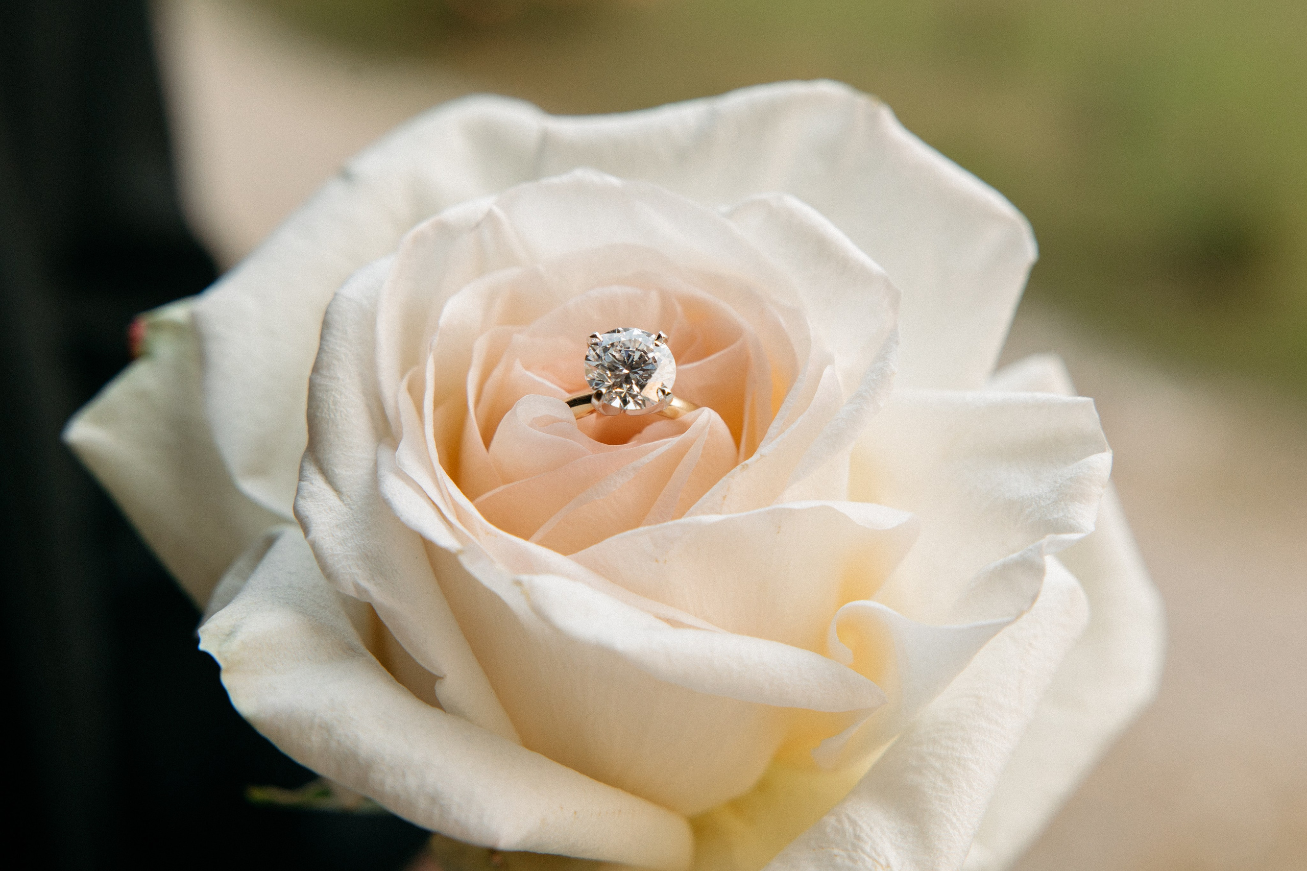 Mike & Donna. Fotografo di matrimoni