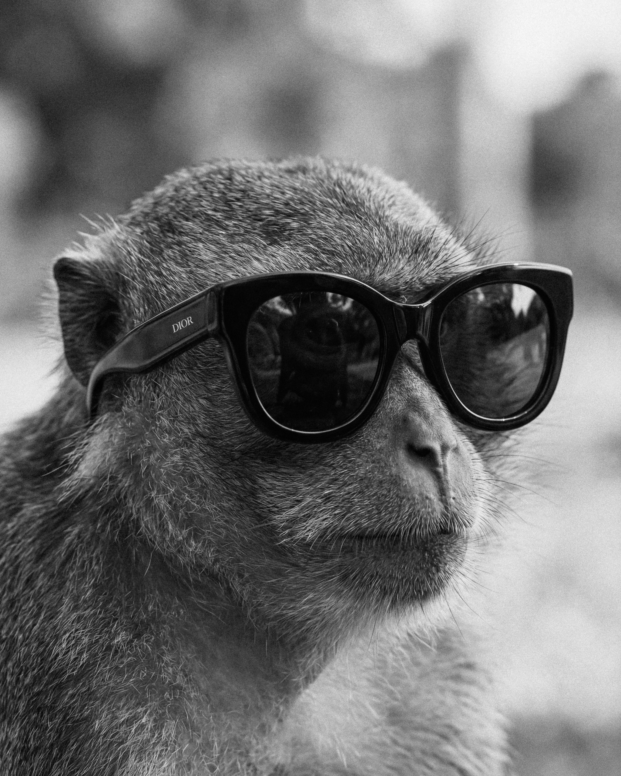 Photos of places around the World