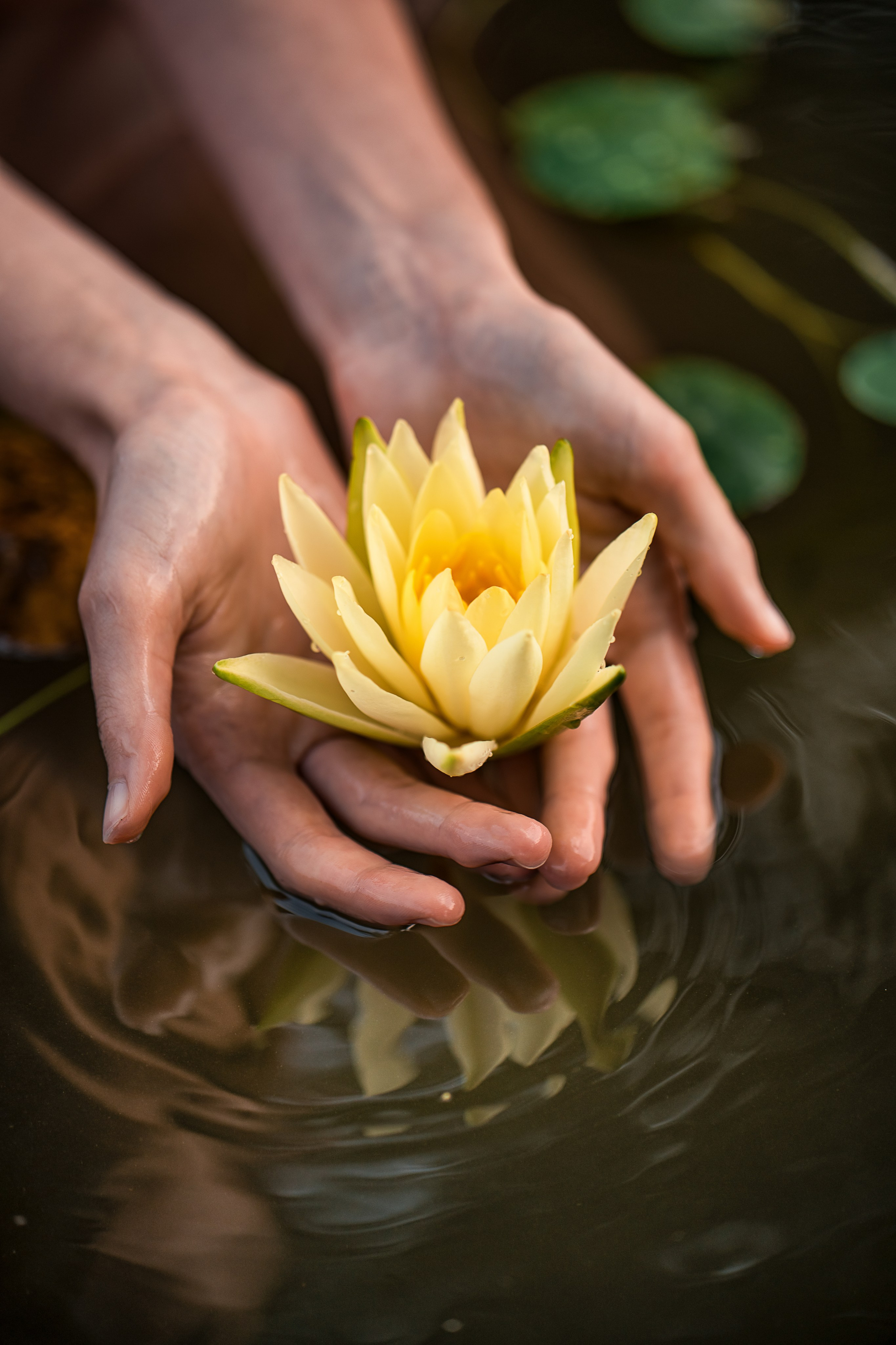 Evgenija. Familien, Portrait und Konzeptualfotografie in Genf, Schweiz